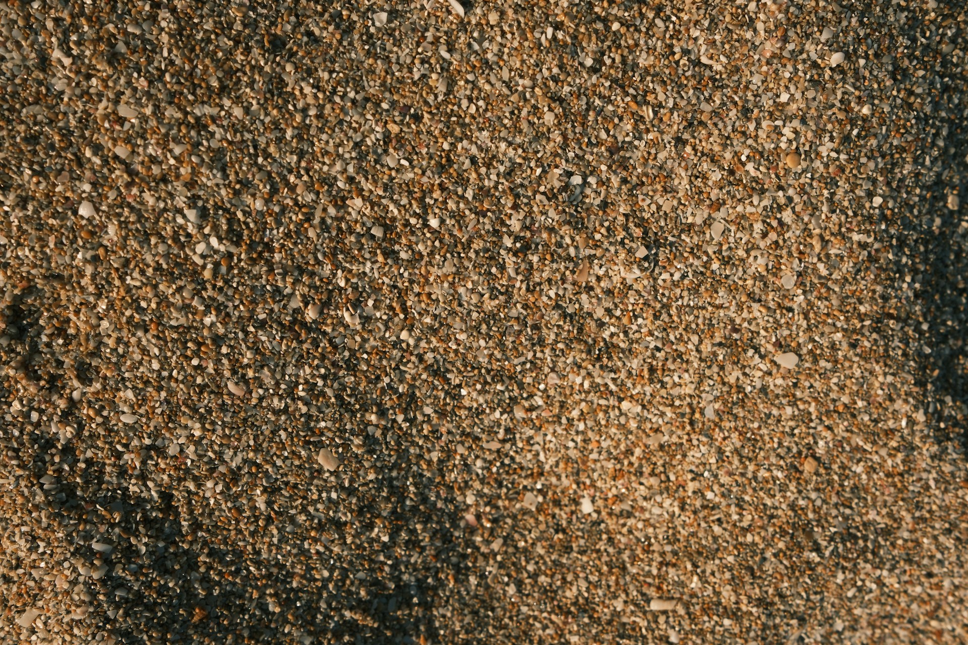 A close up of a bird's footprints in the sand