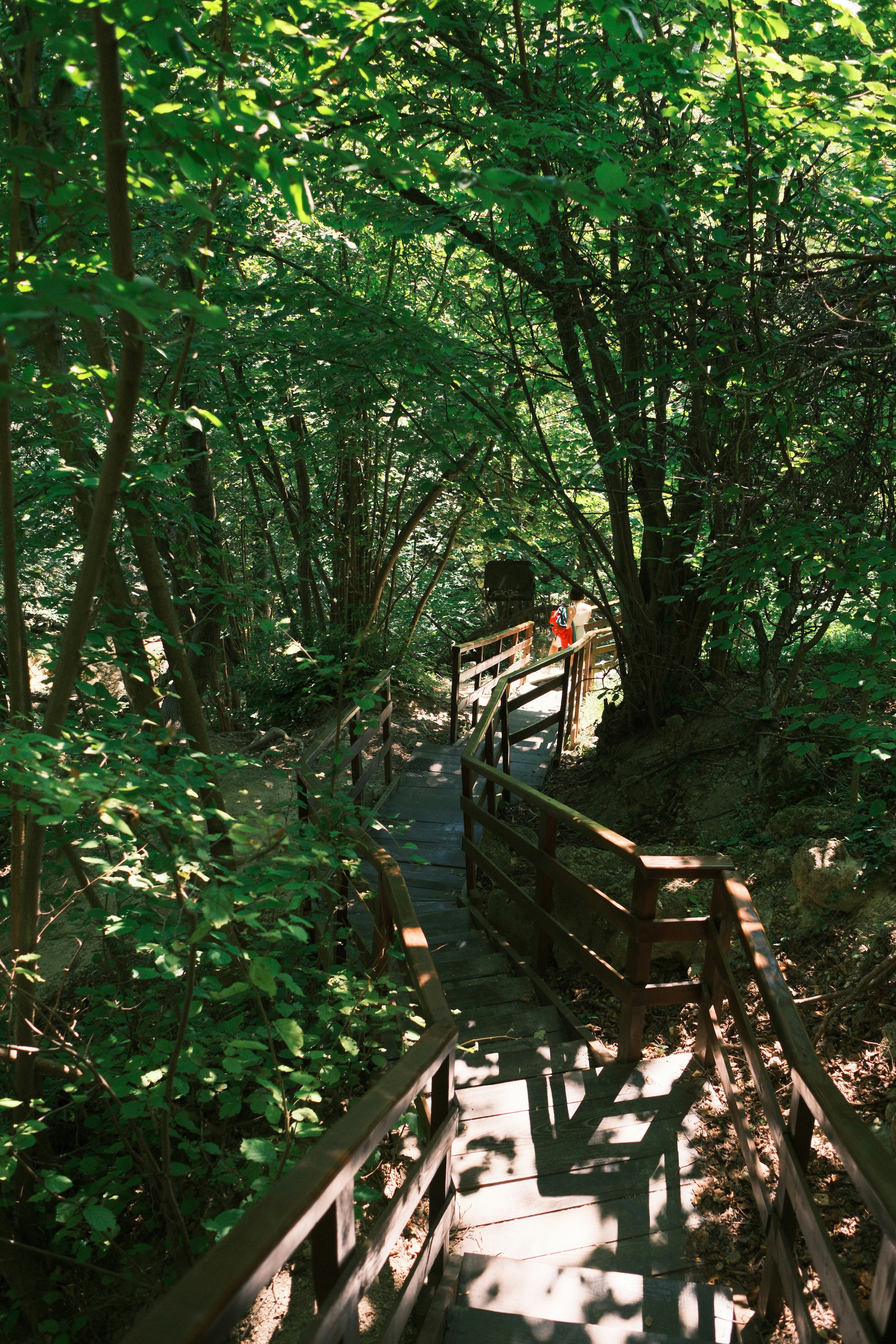 A wooden walkway in the middle of a forest