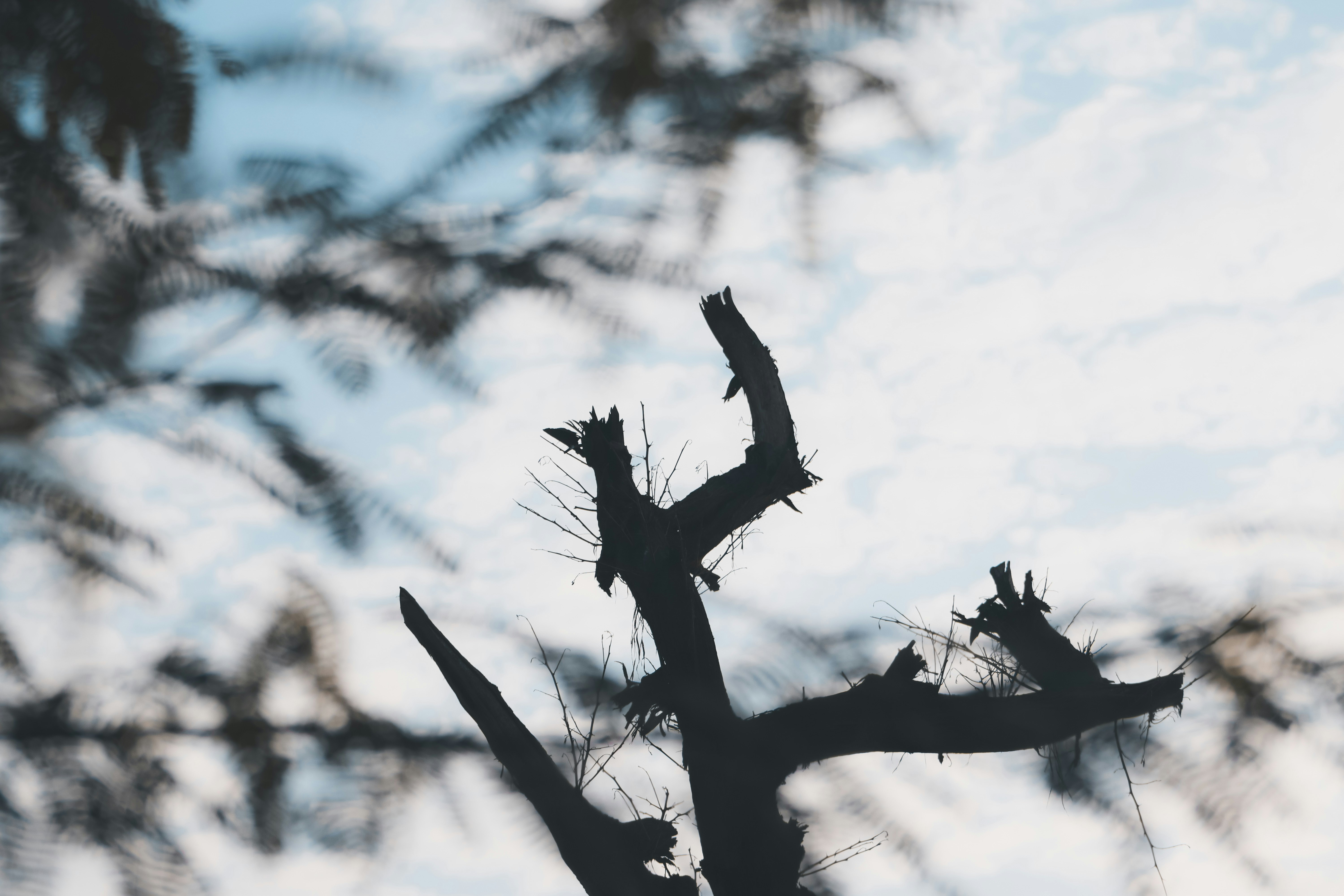 Photo by drphotographer152