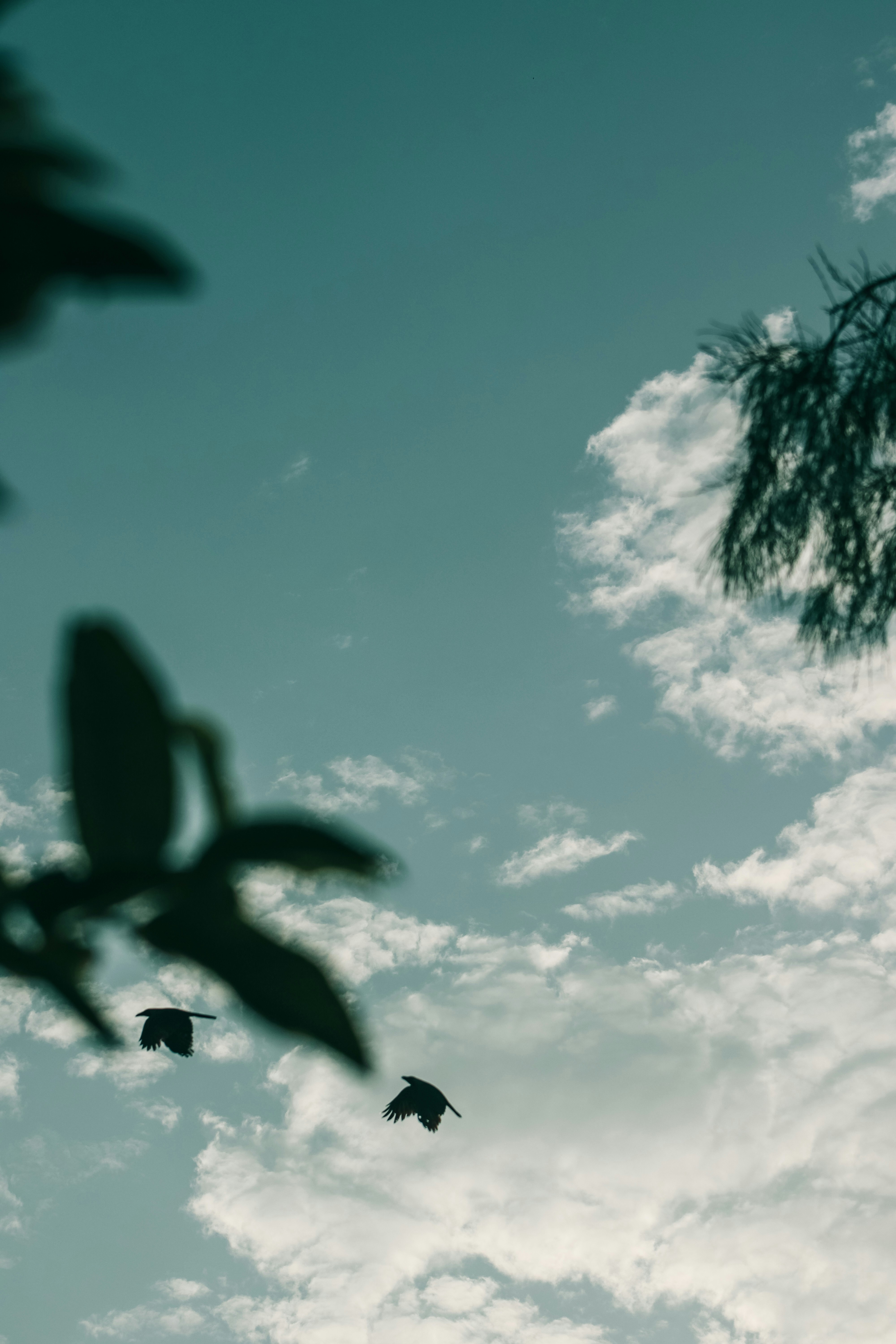 Photo by drphotographer152