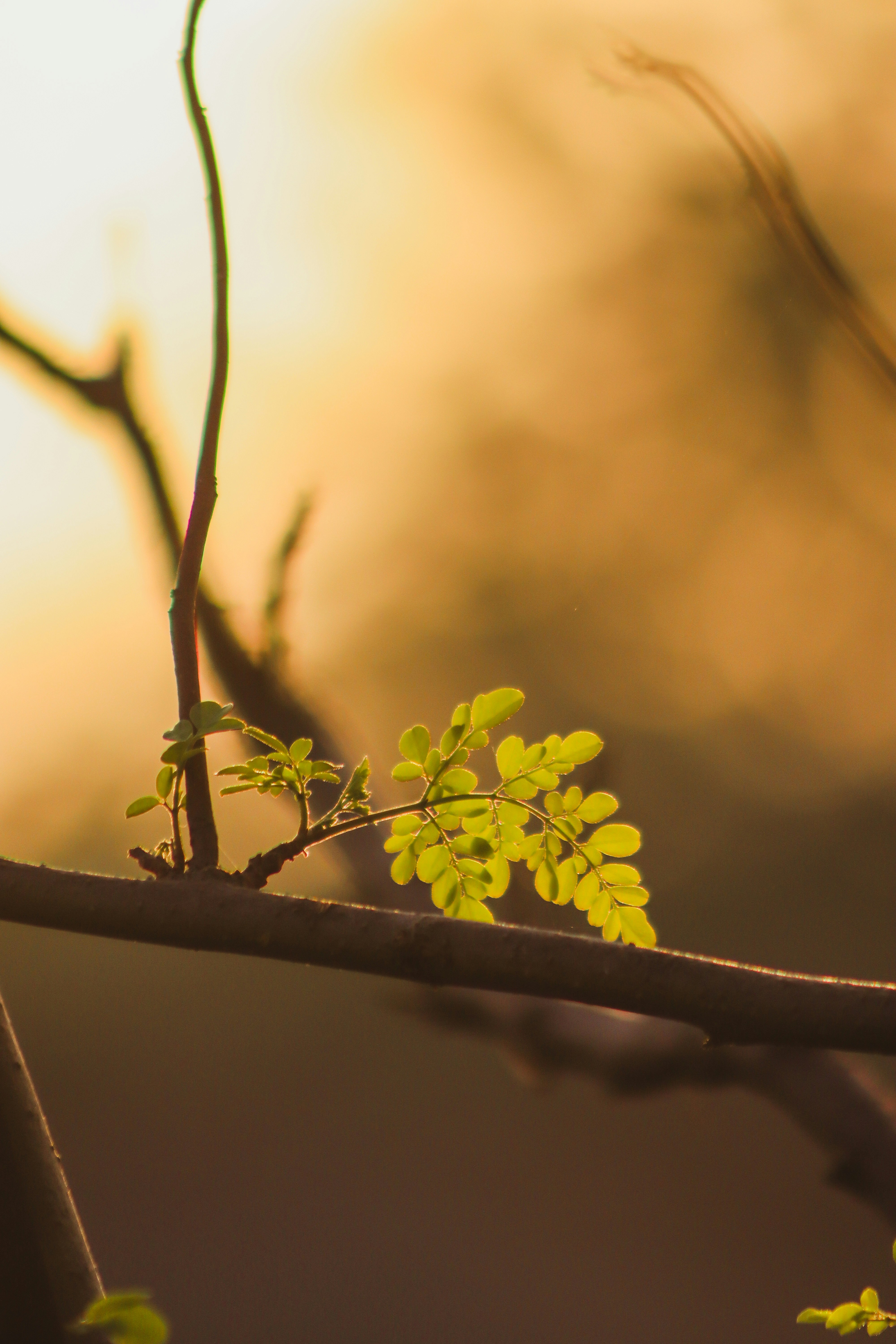 Photo by drphotographer152