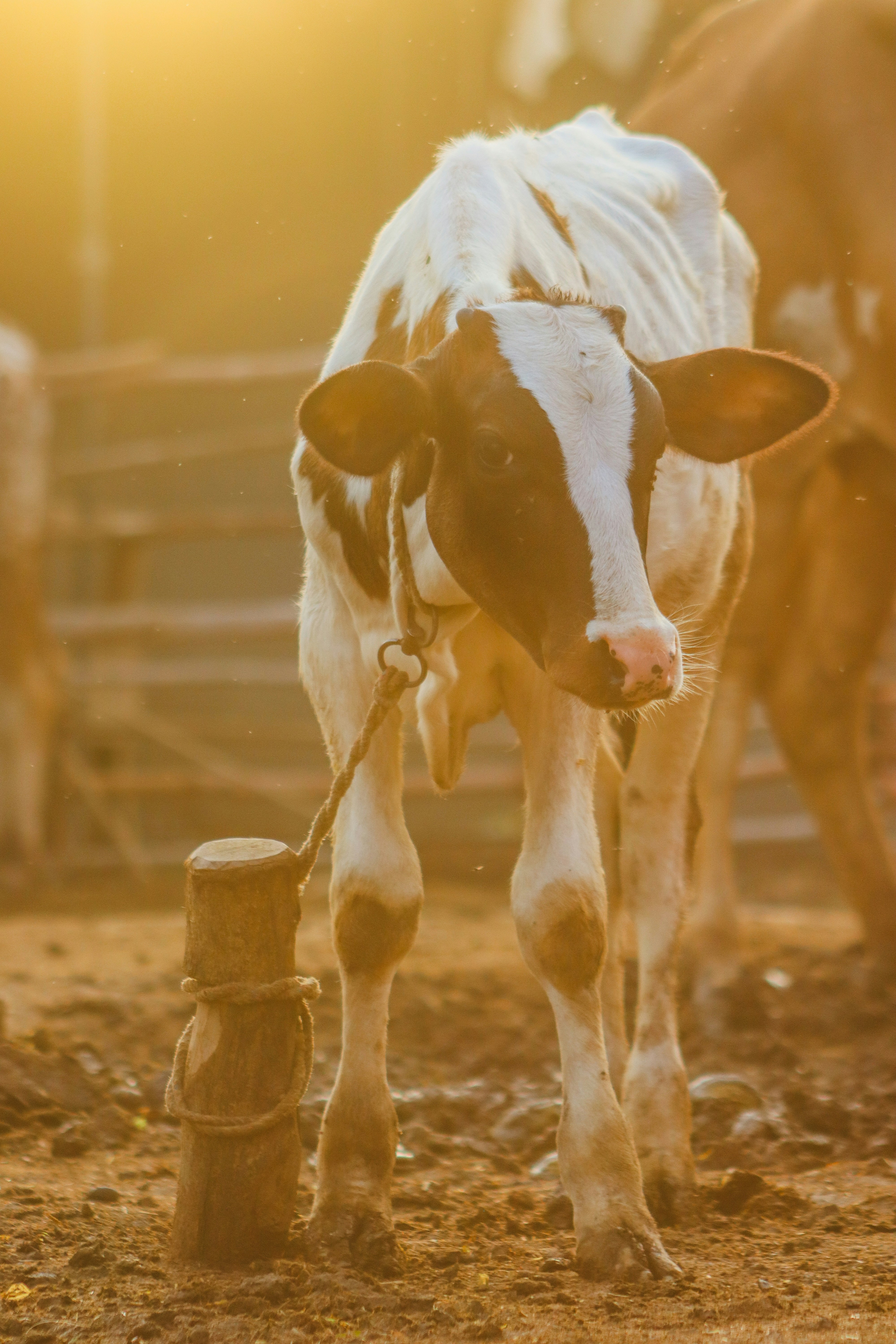 Photo by drphotographer152