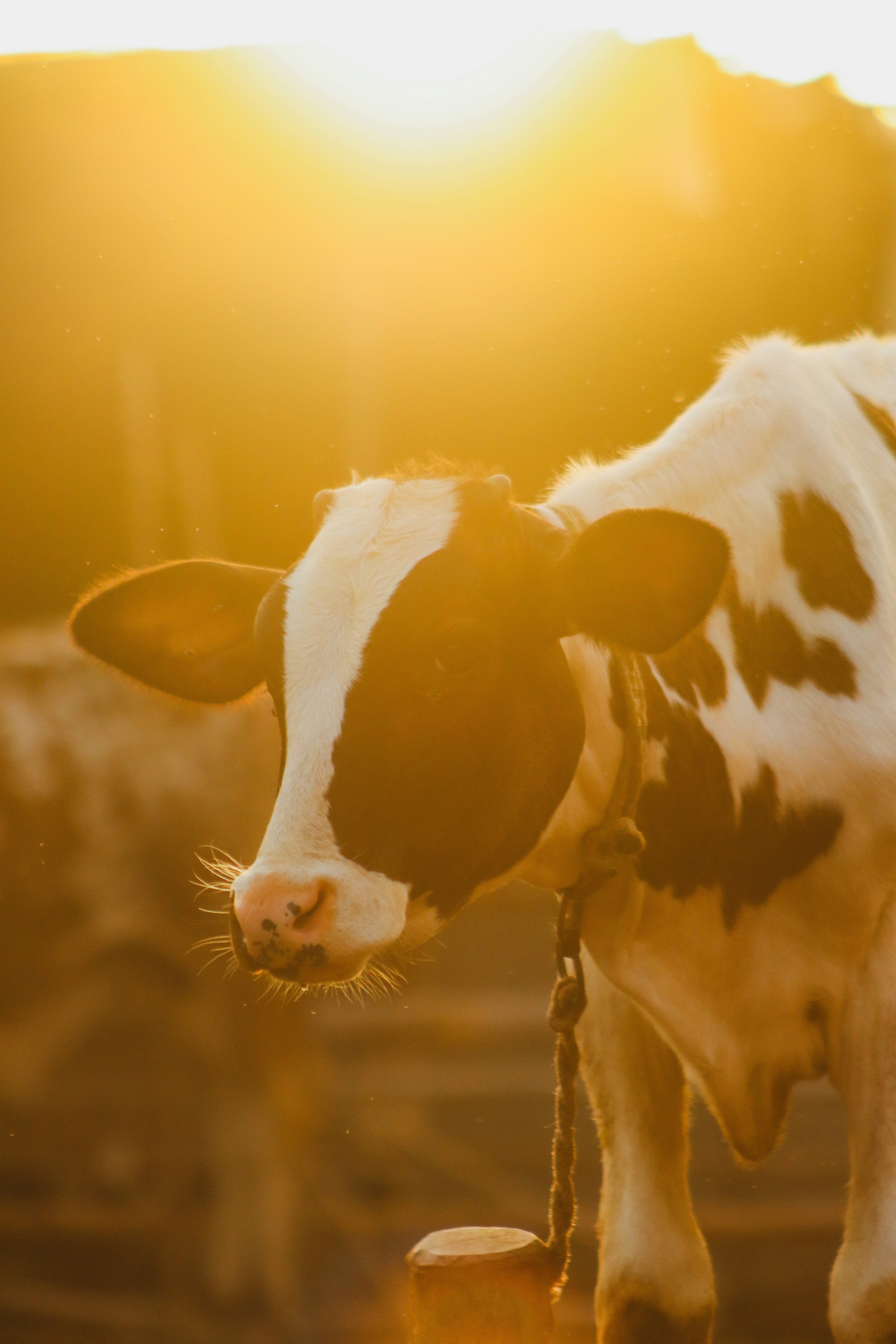 Photo by drphotographer152