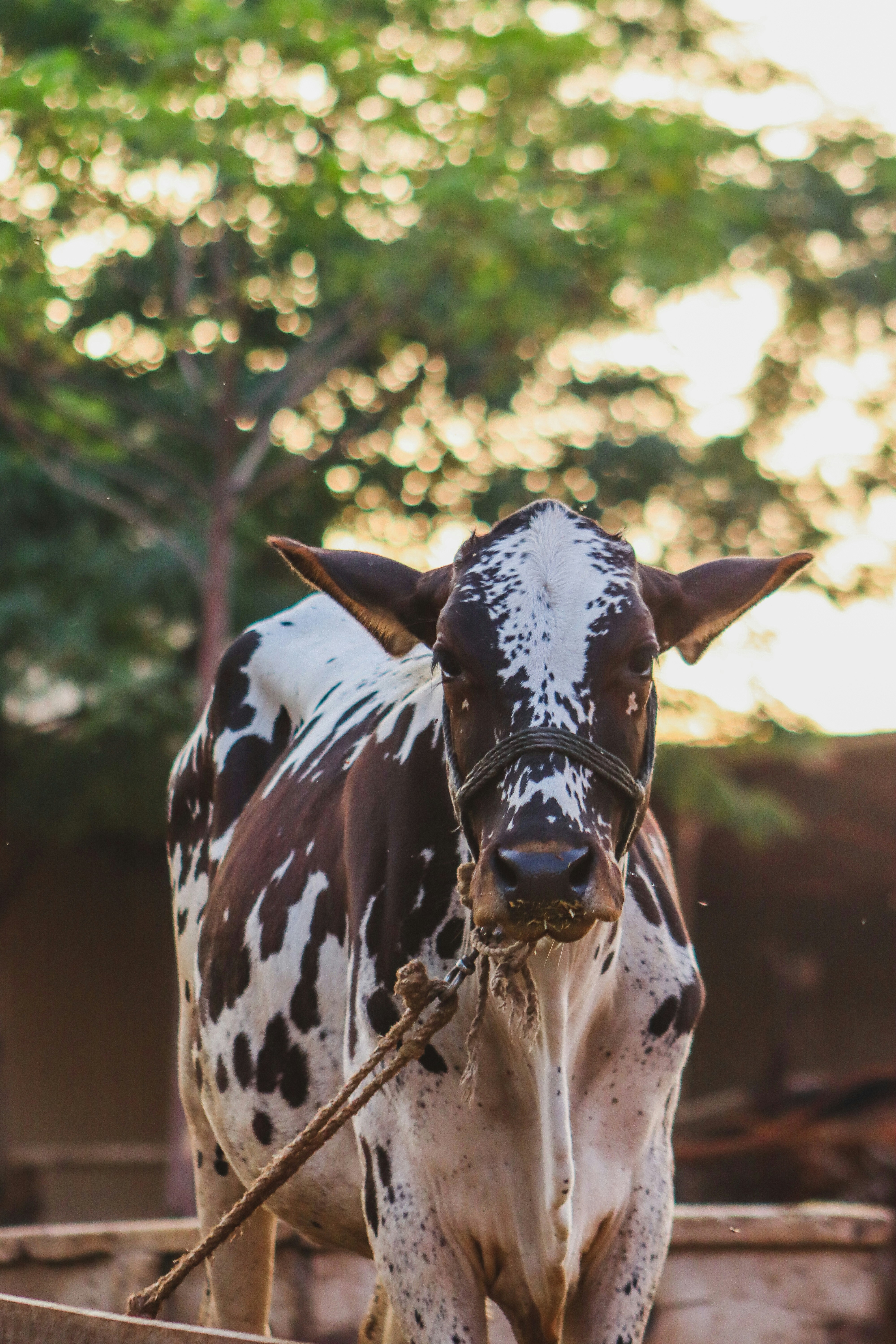 Photo by drphotographer152