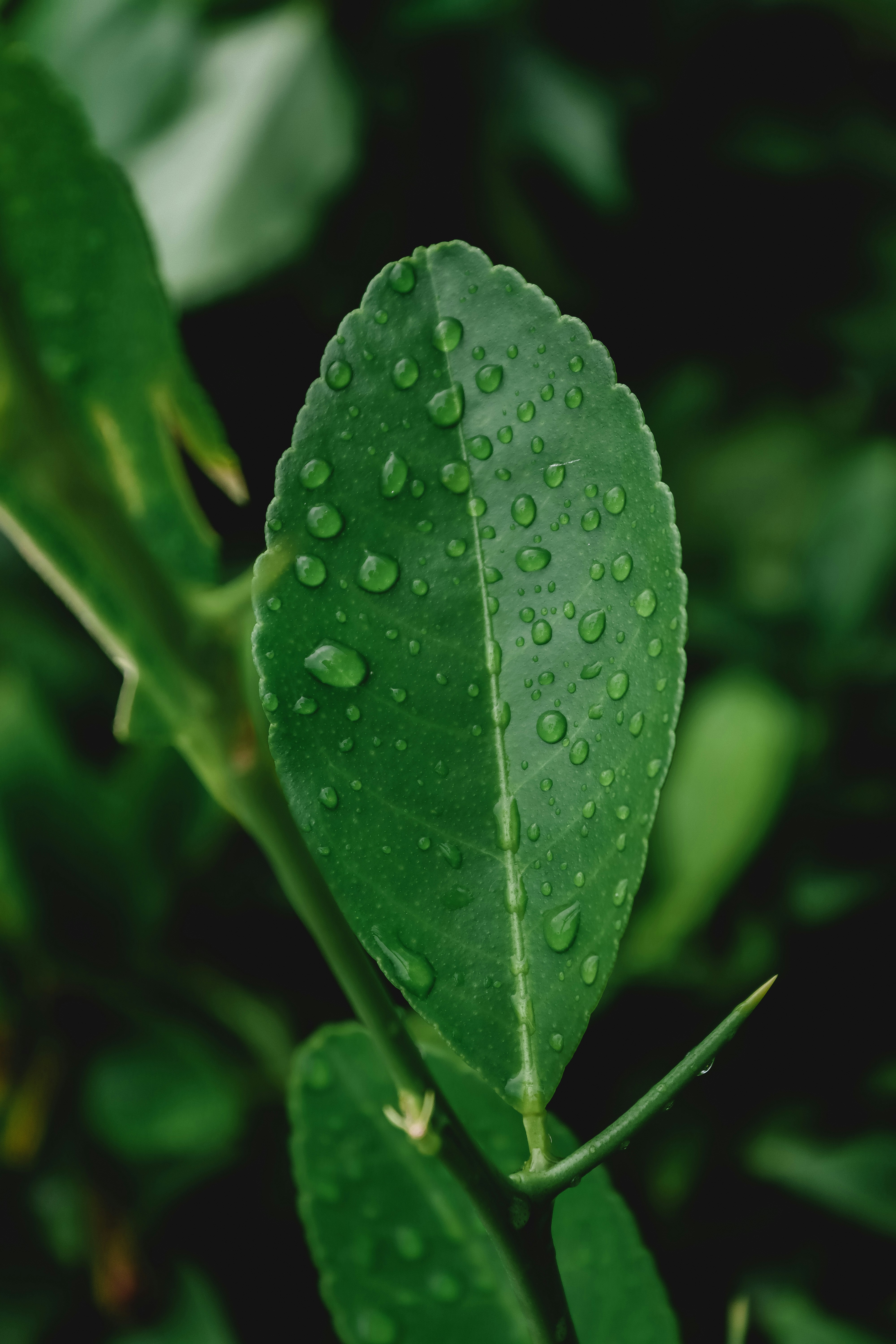 Photo by drphotographer152