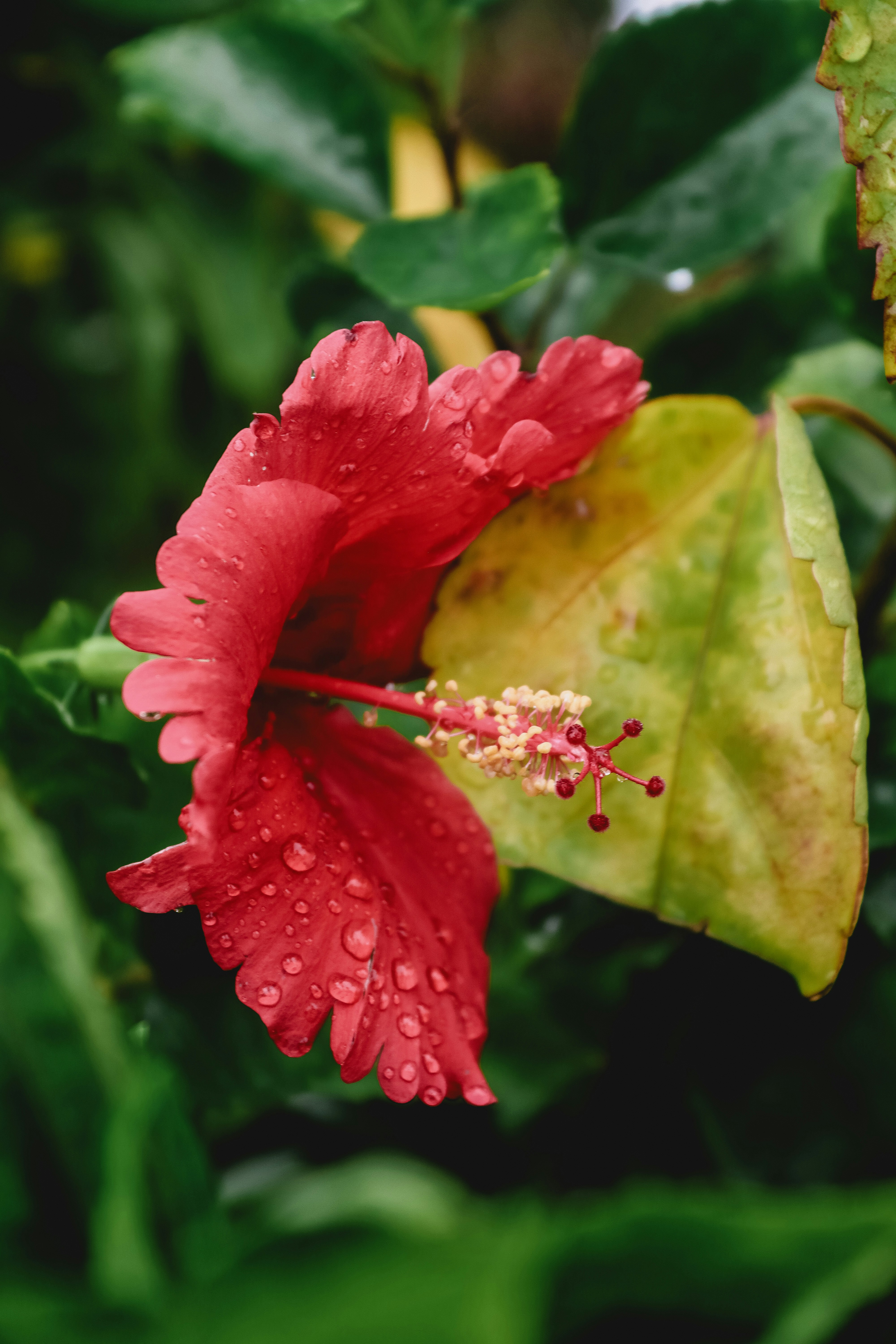 Photo by drphotographer152