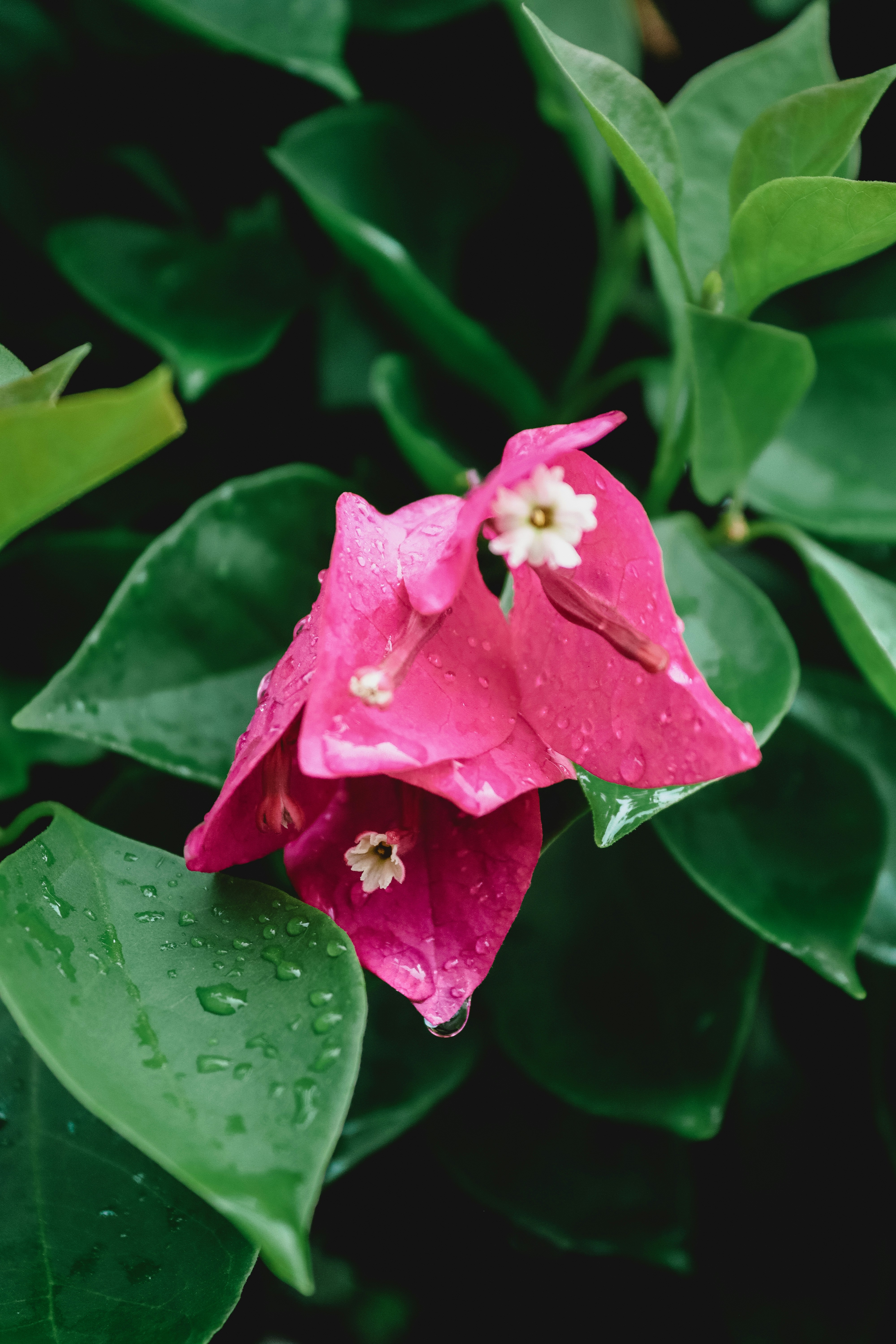 Photo by drphotographer152