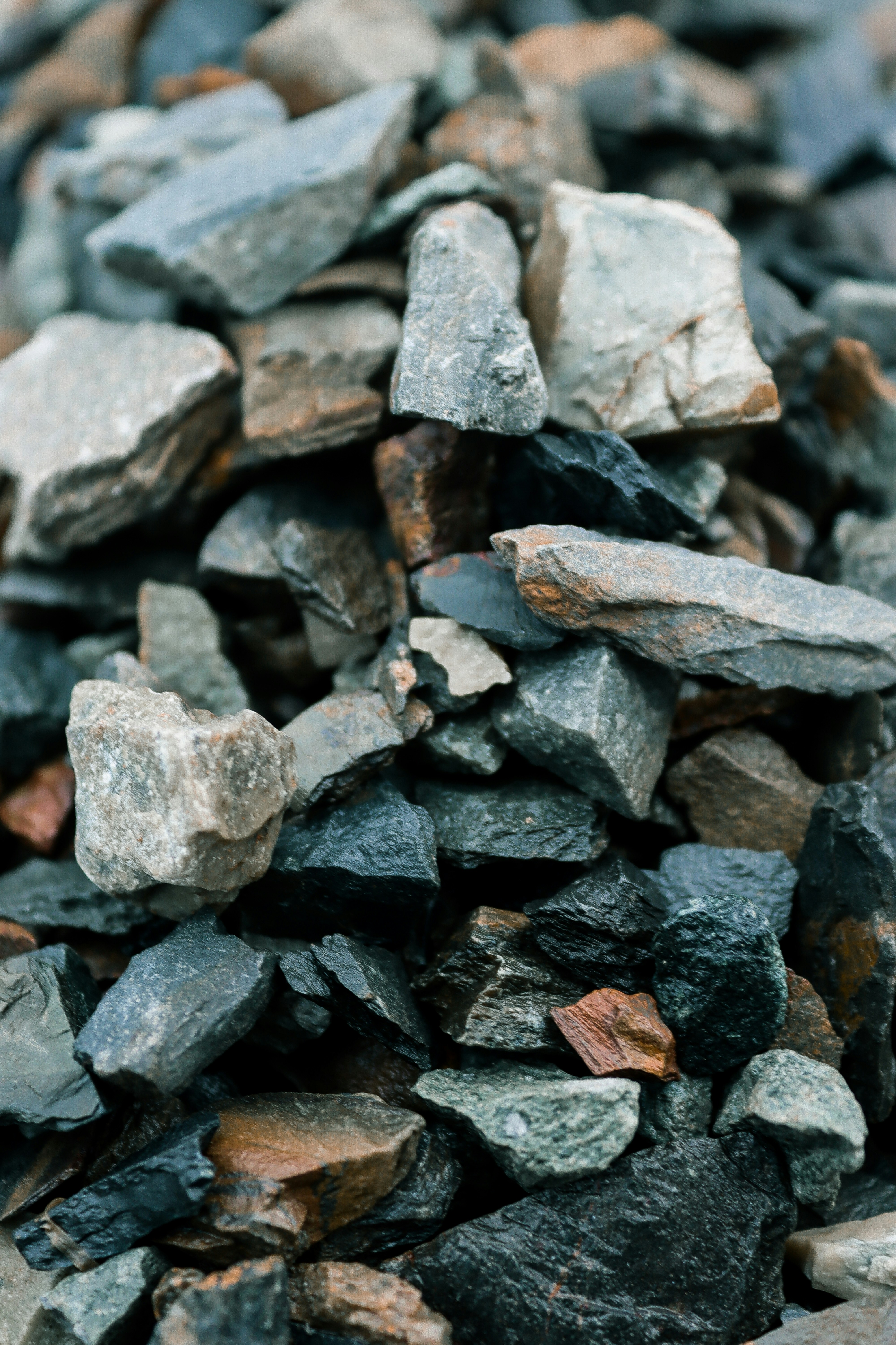 Photo by drphotographer152