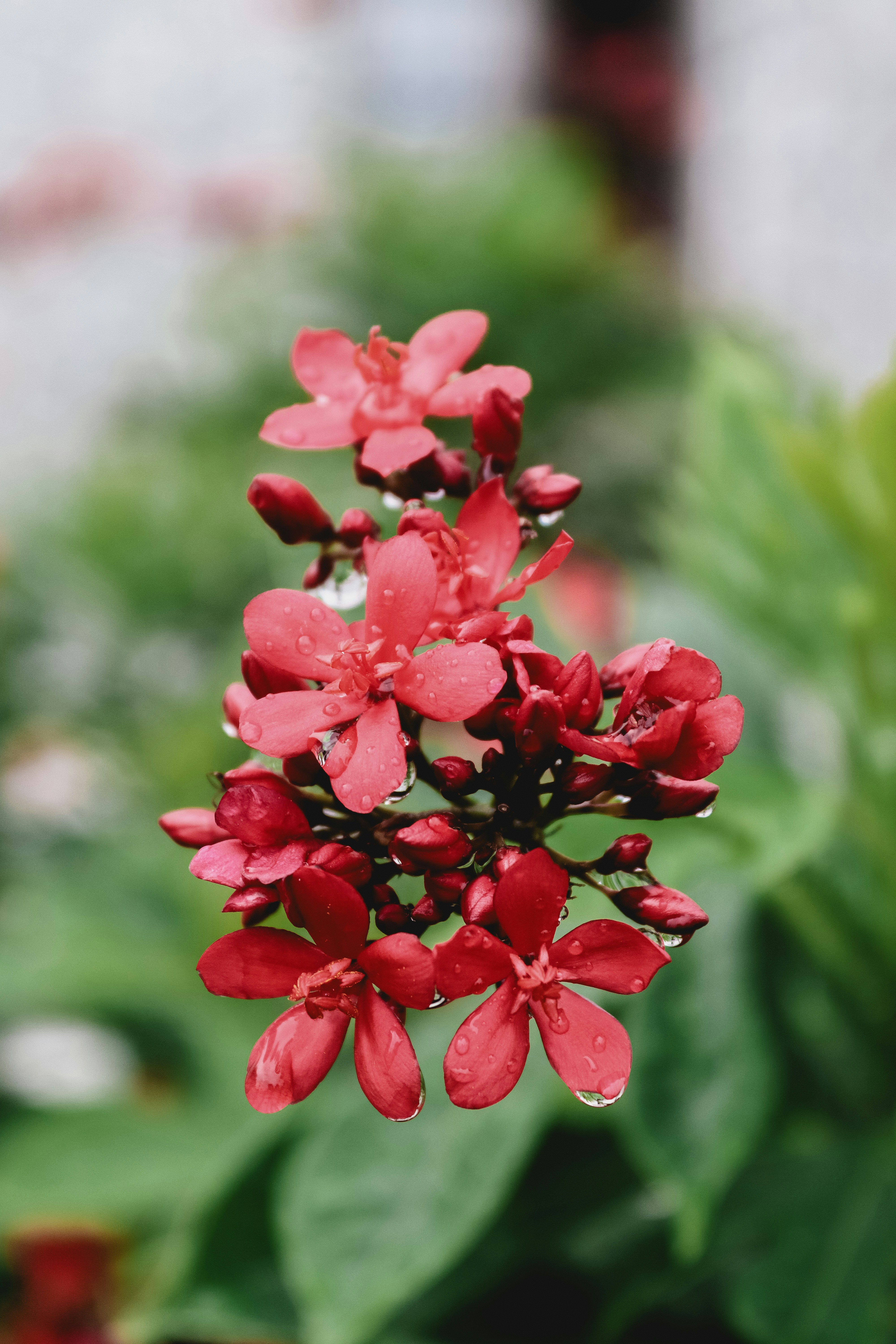 Photo by drphotographer152