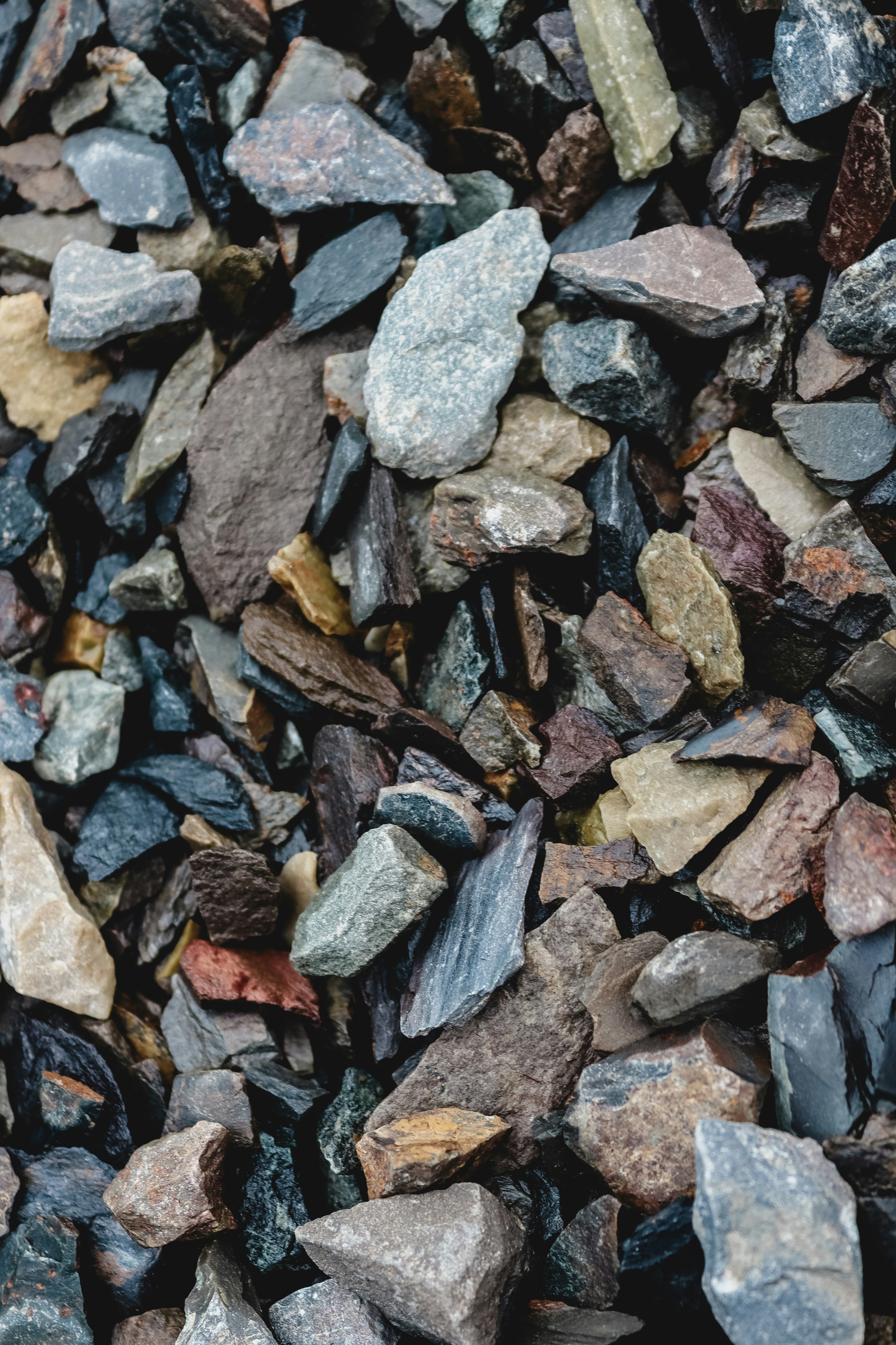 Photo by drphotographer152