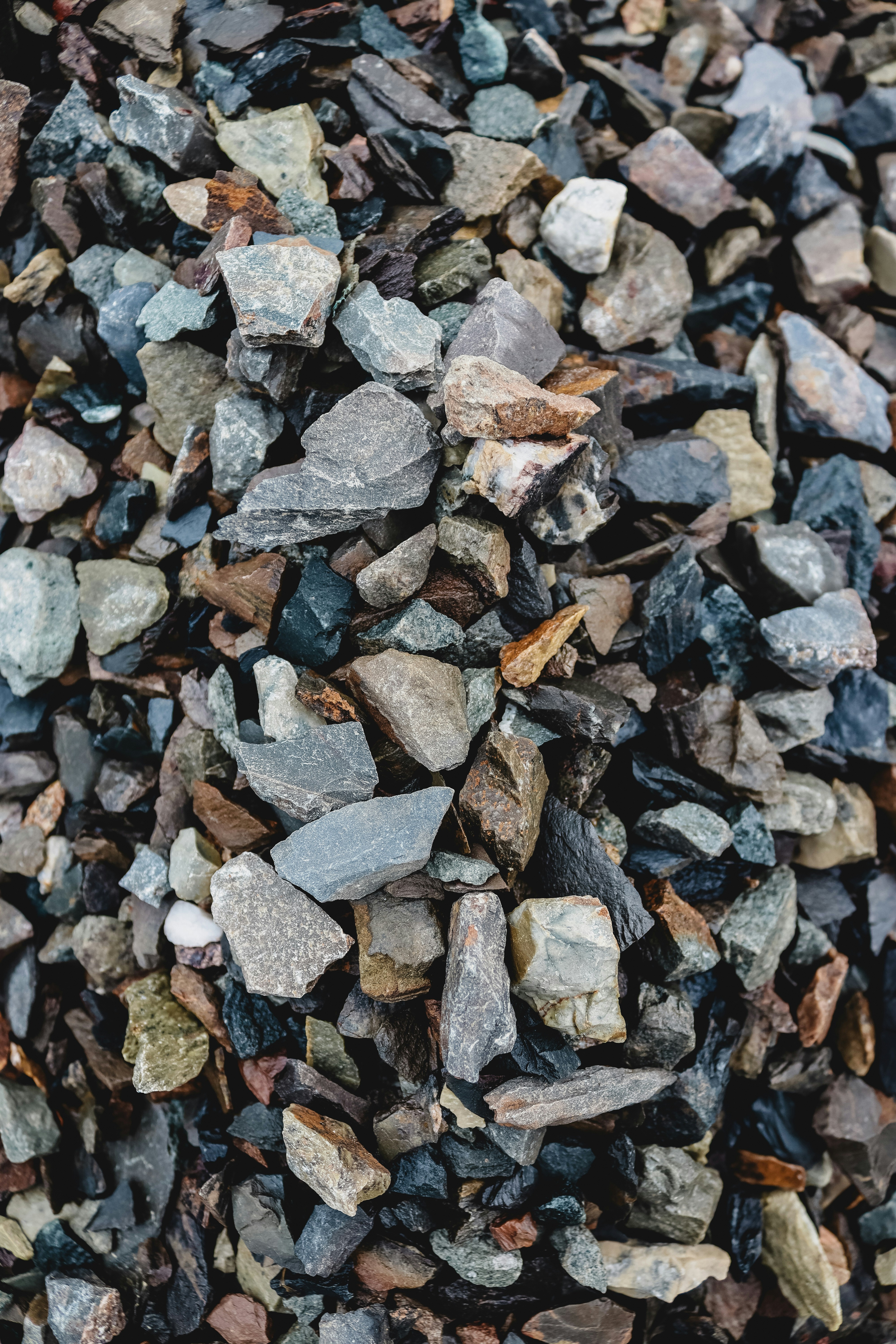 Photo by drphotographer152