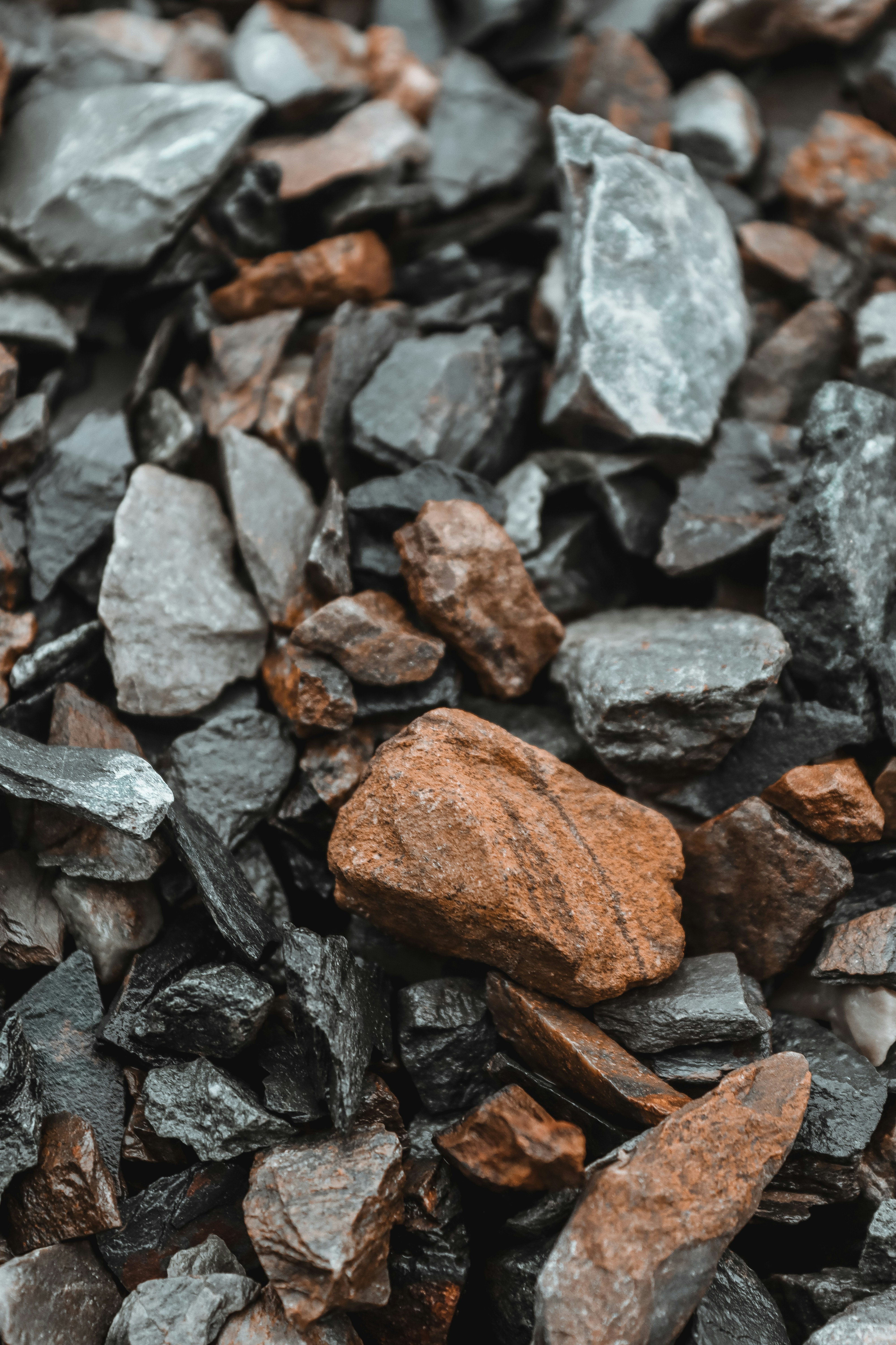 Photo by drphotographer152