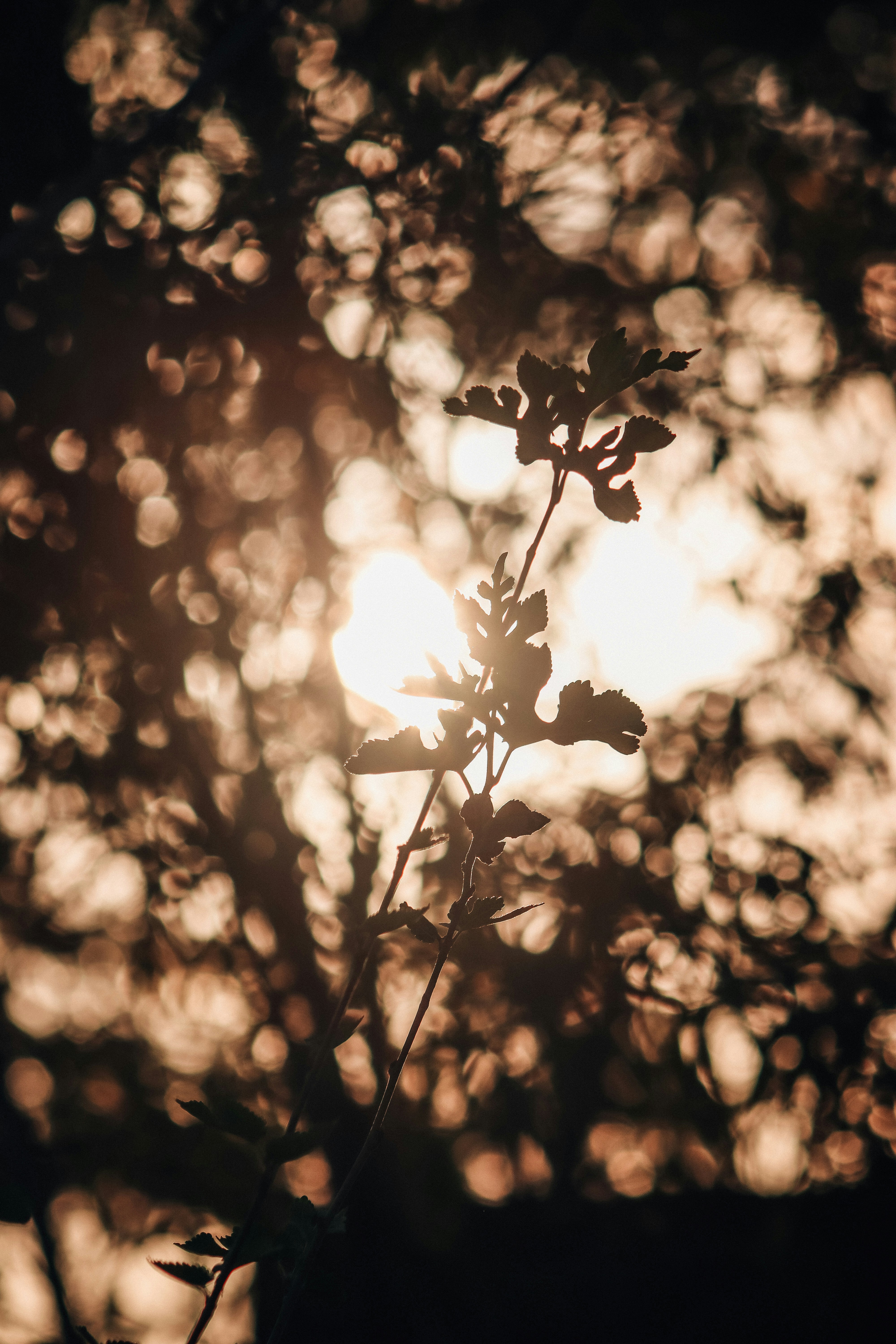 Photo by drphotographer152