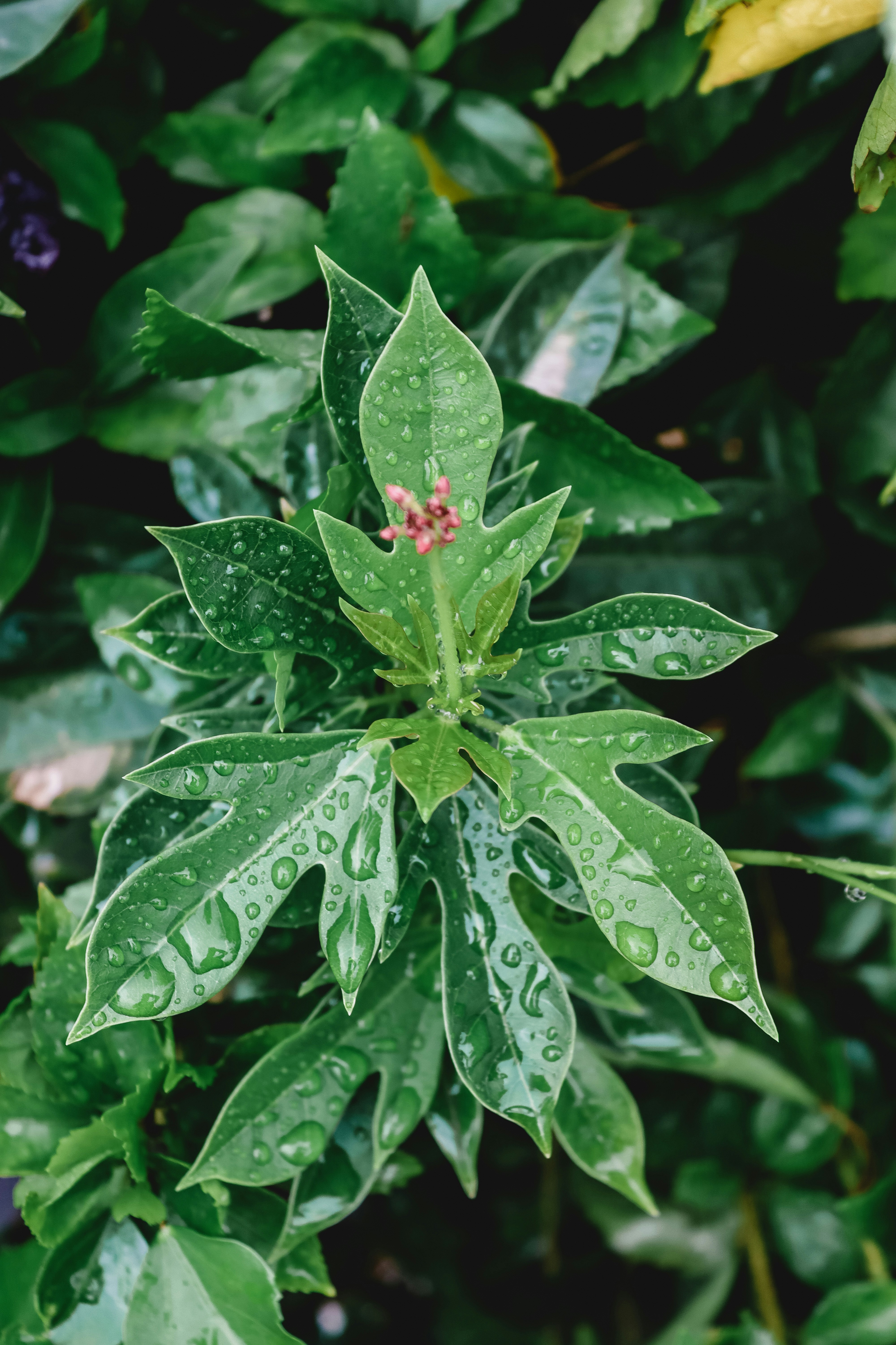 Photo by drphotographer152