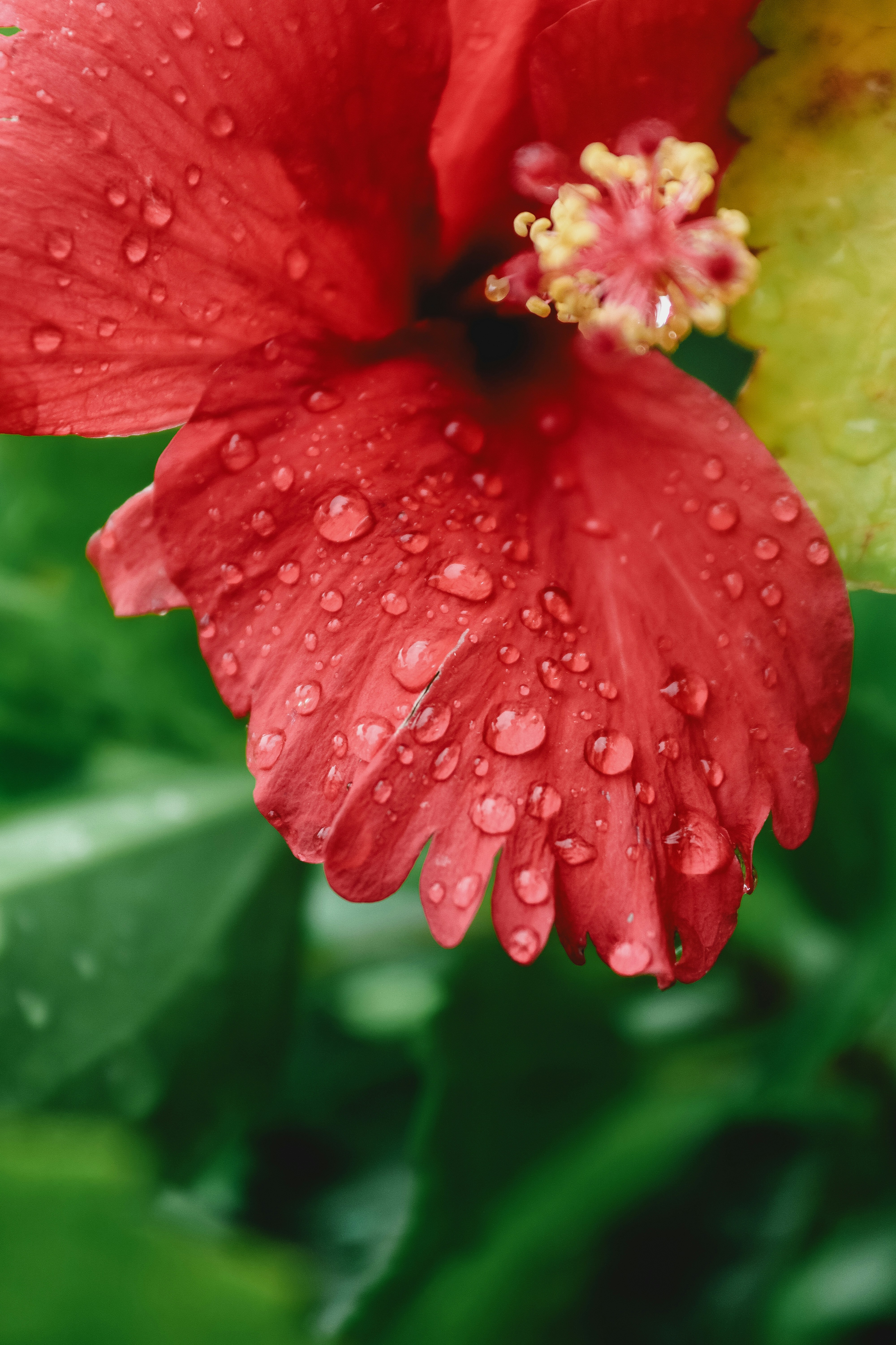 Photo by drphotographer152