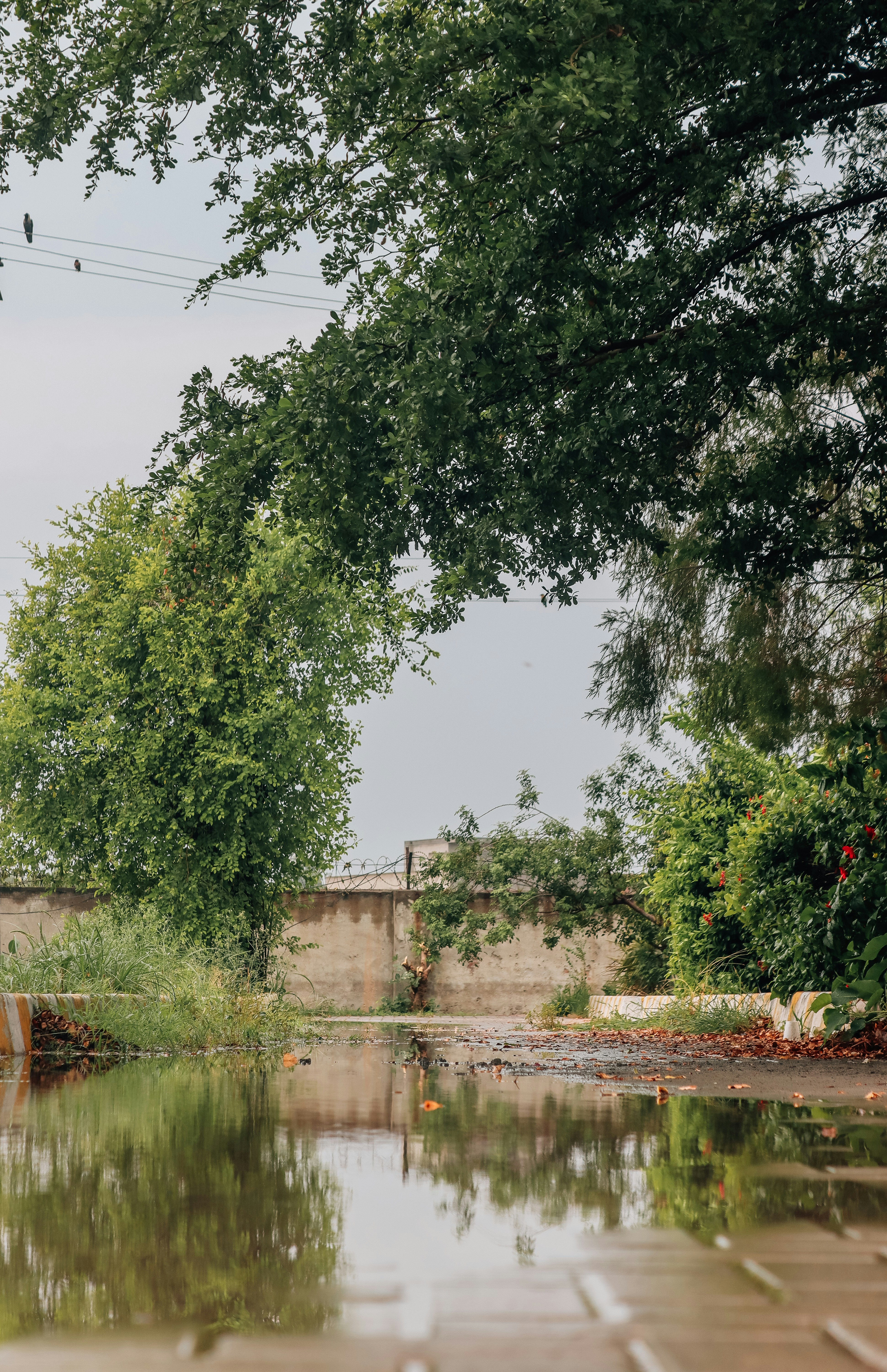 Photo by drphotographer152