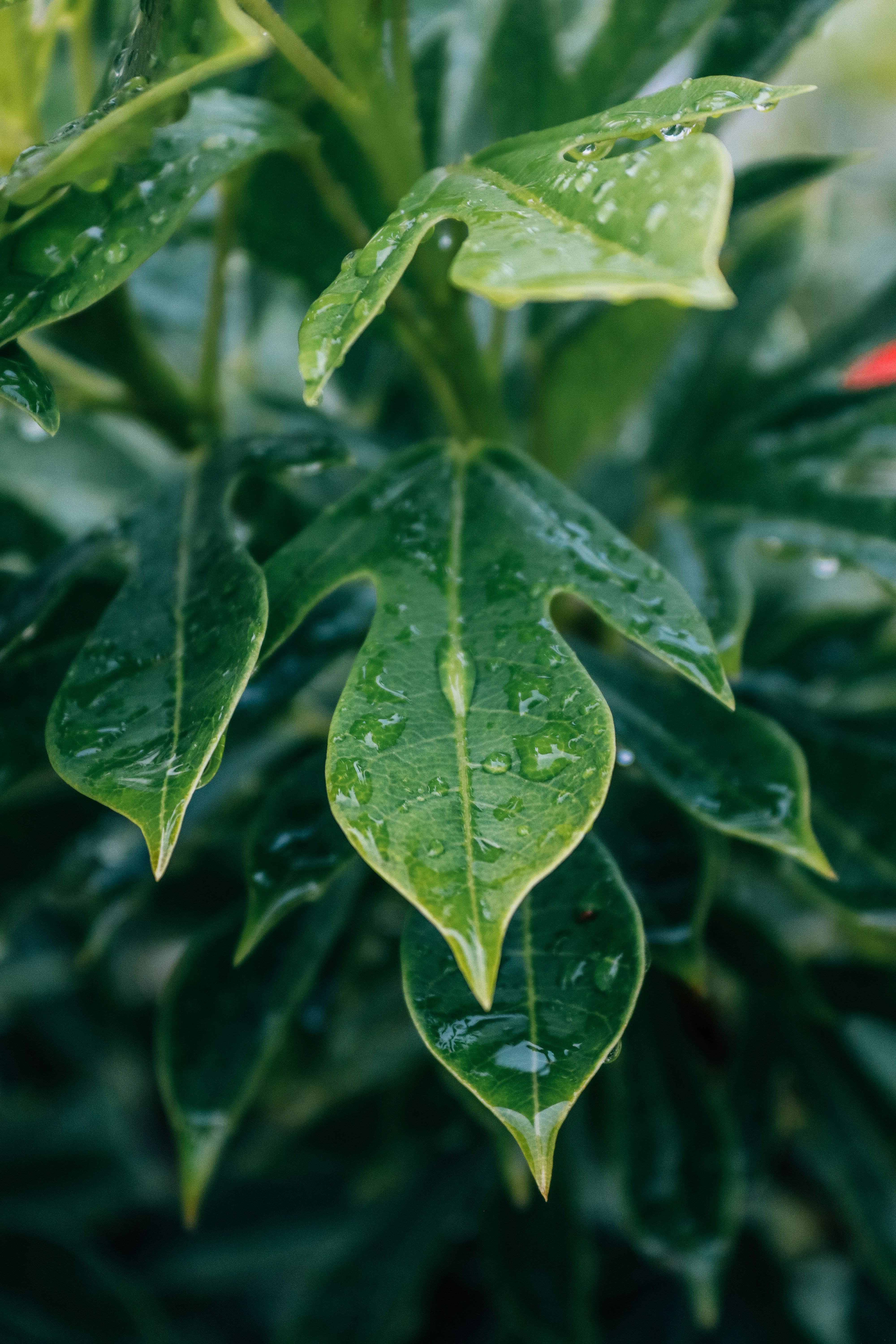 Photo by drphotographer152