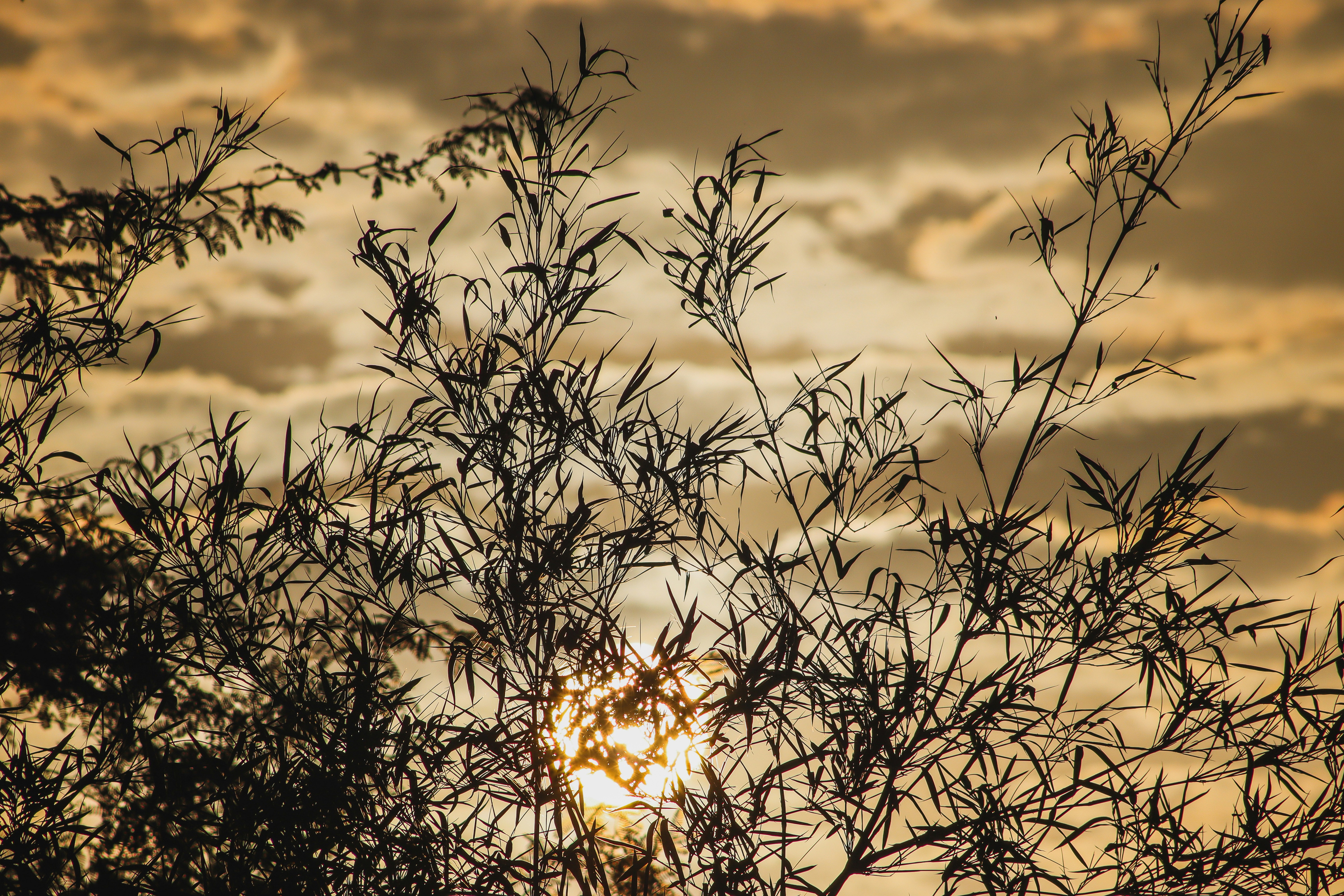 Photo by drphotographer152