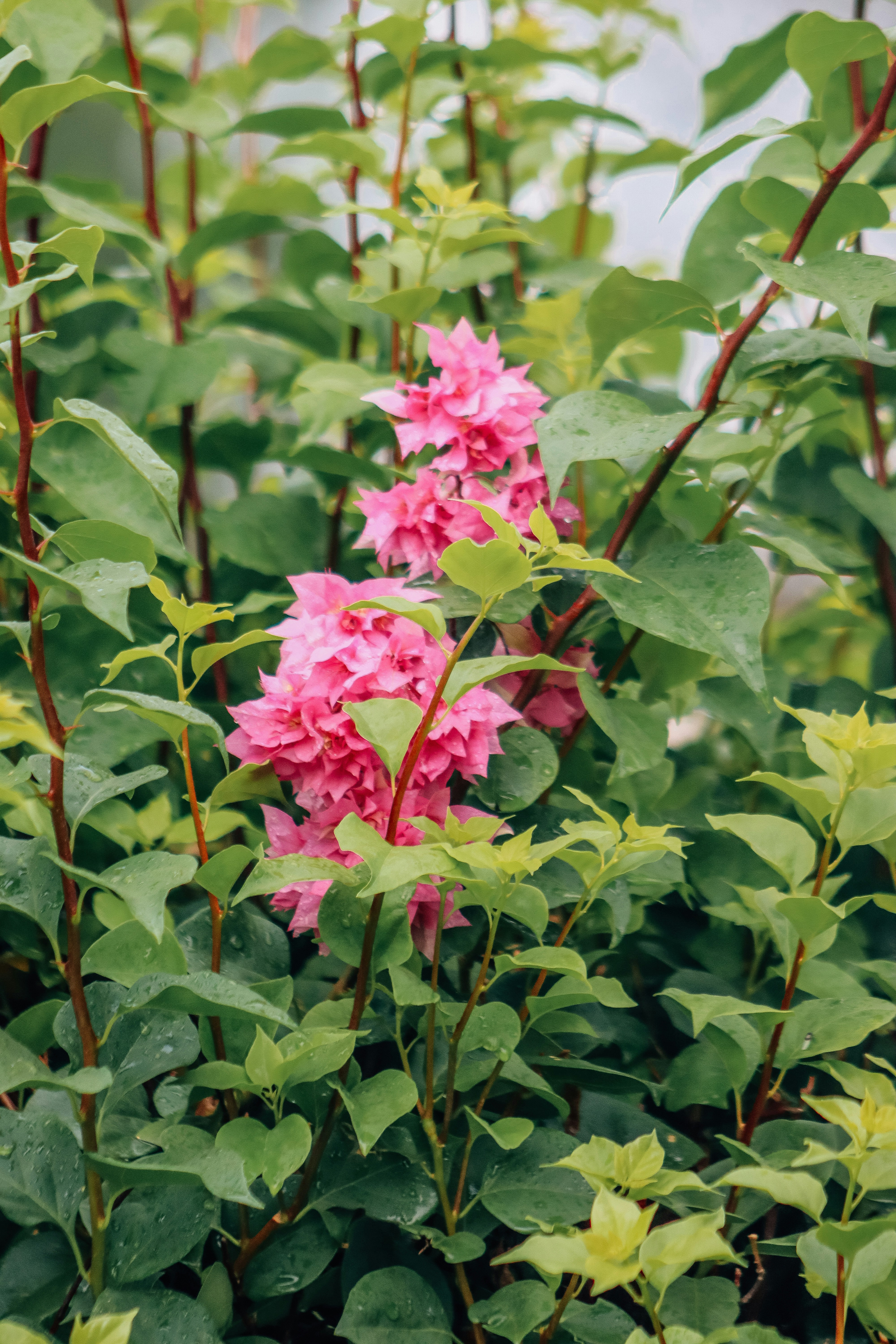 Photo by drphotographer152