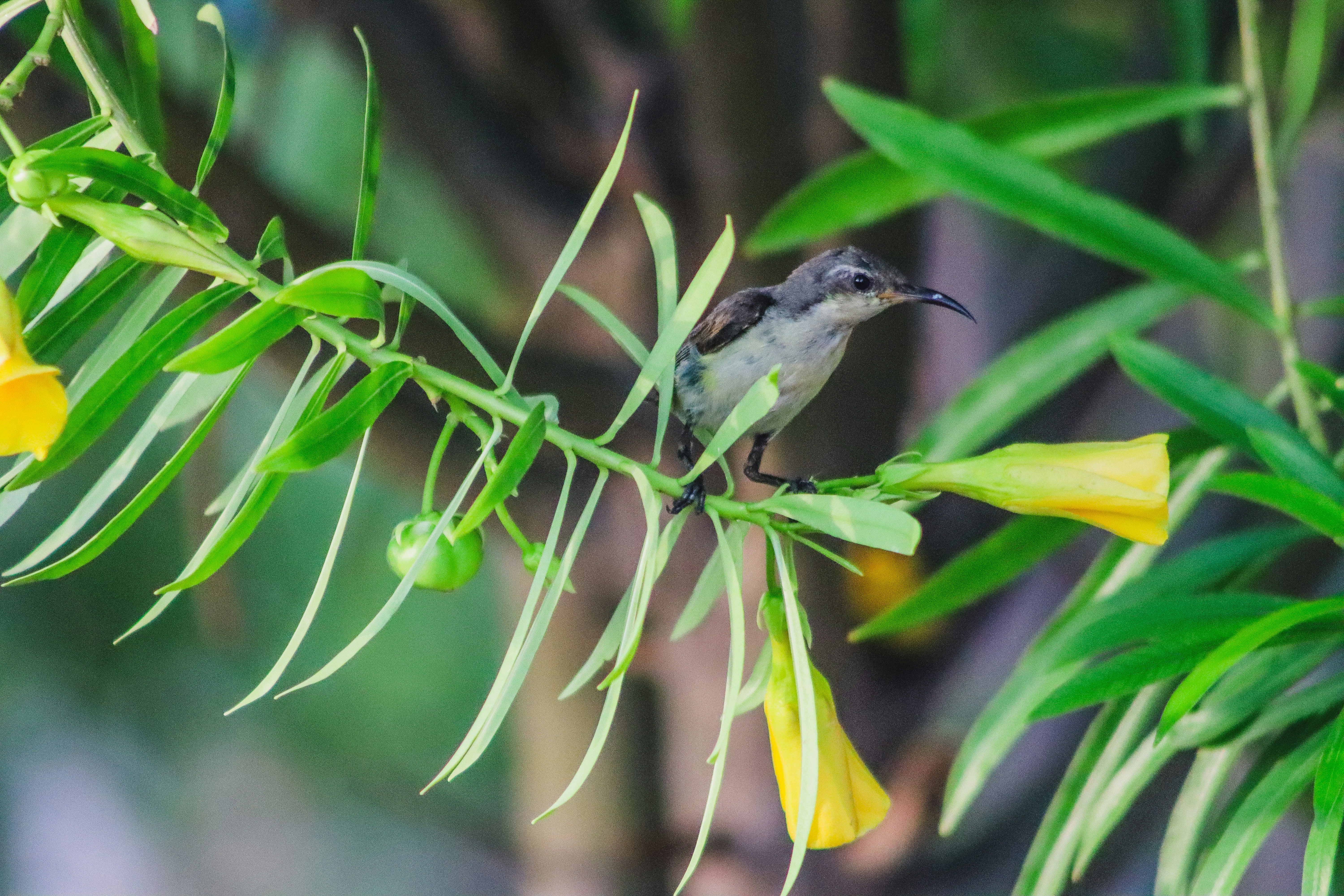 Photo by drphotographer152