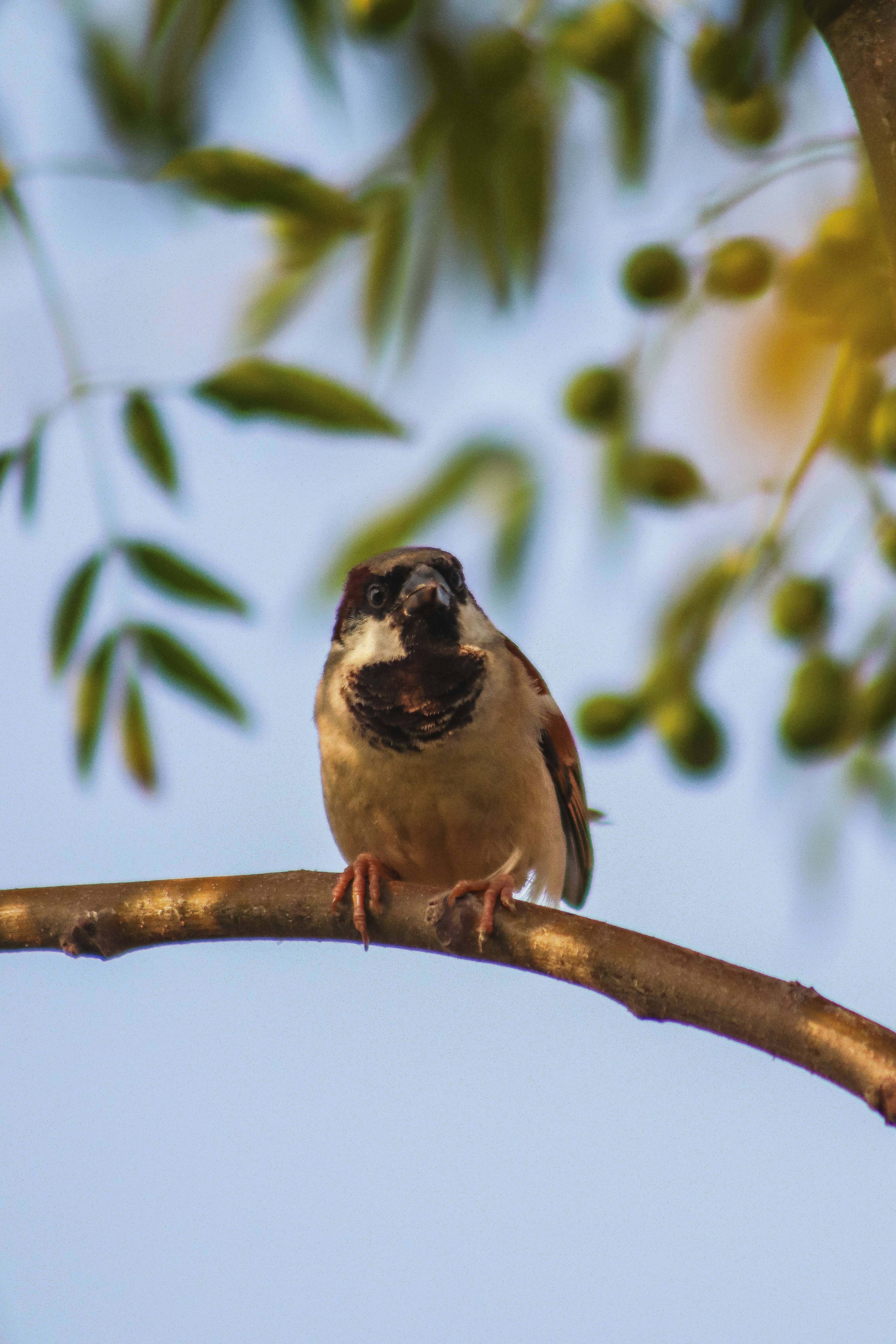 Photo by drphotographer152