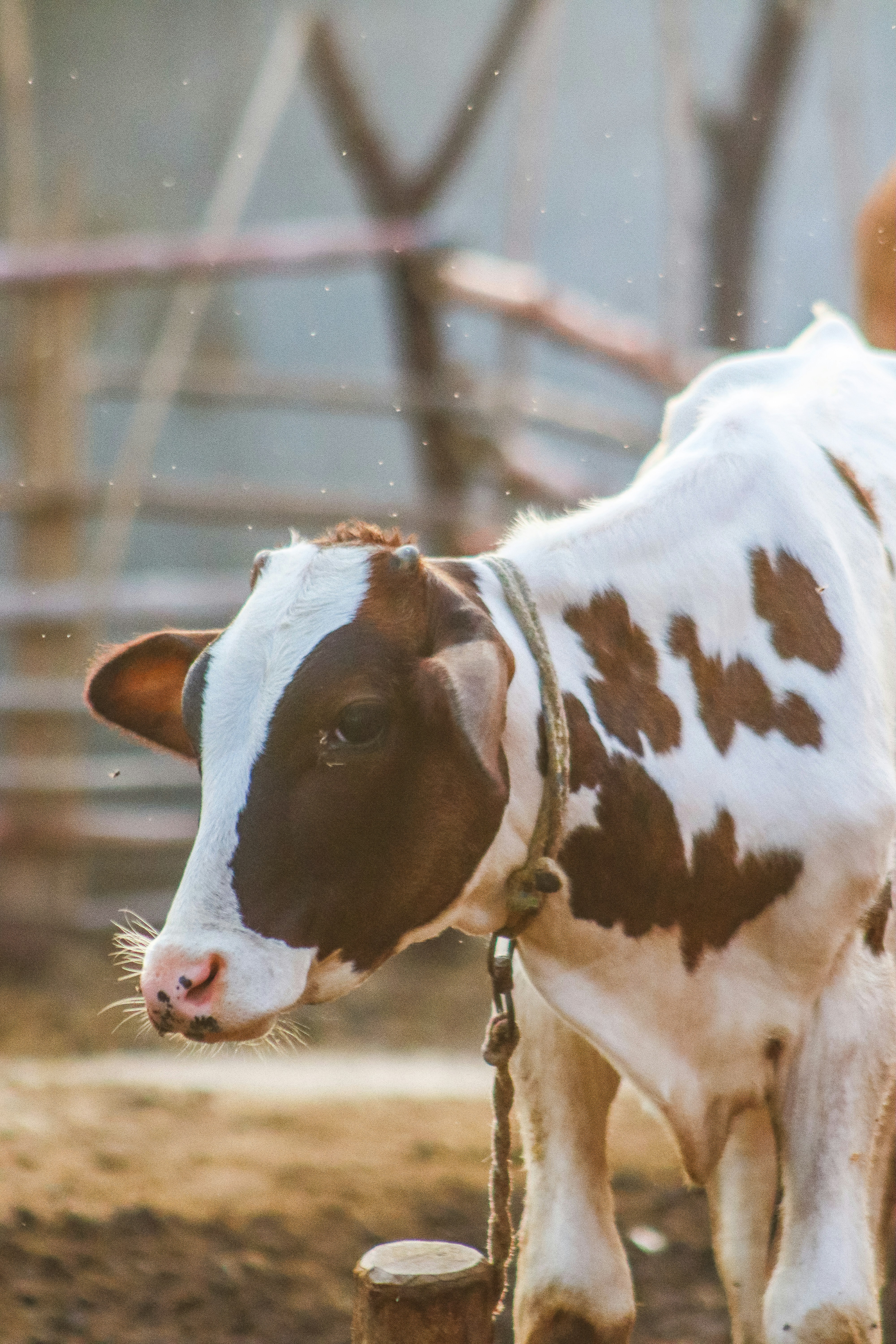 Photo by drphotographer152