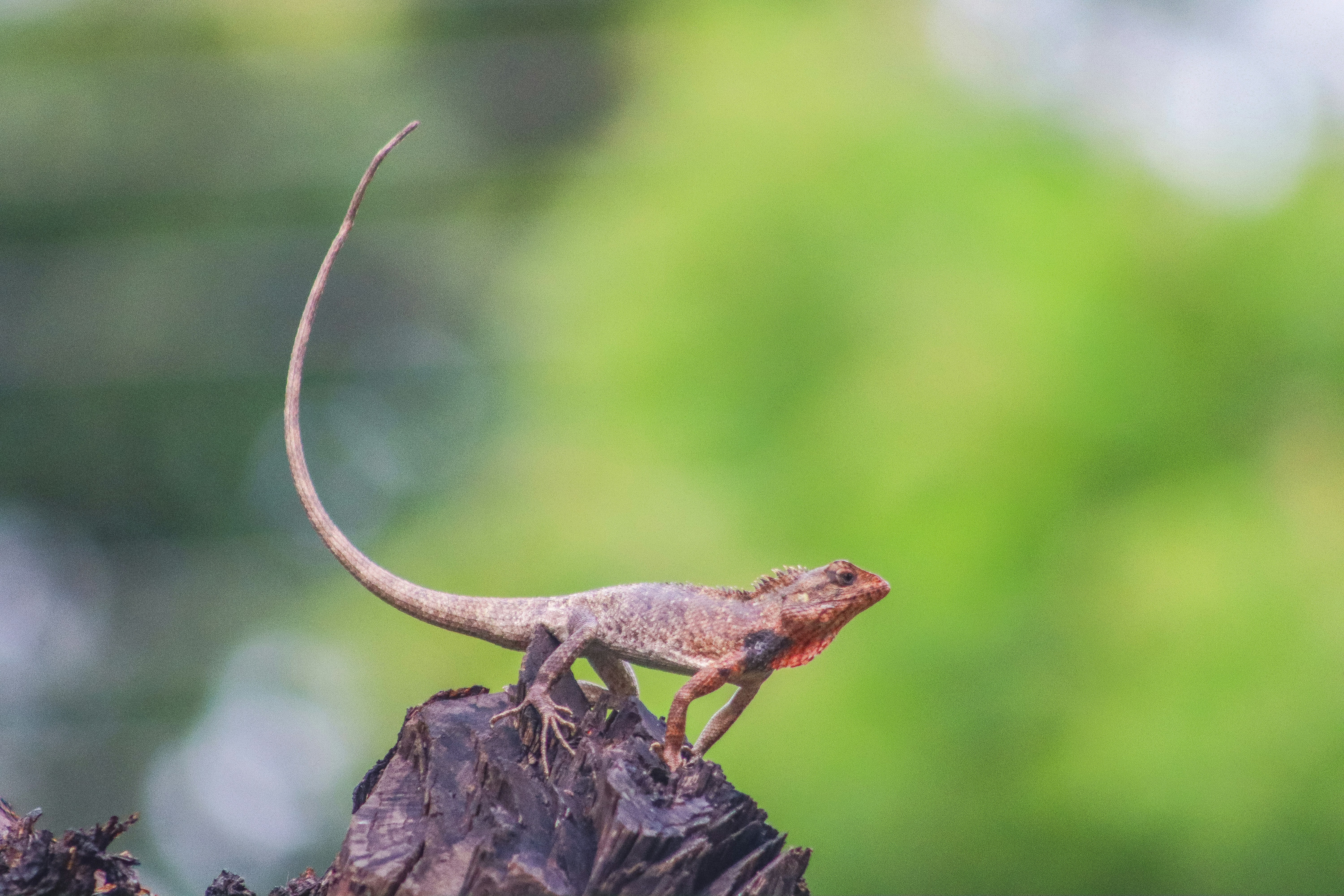 Photo by drphotographer152