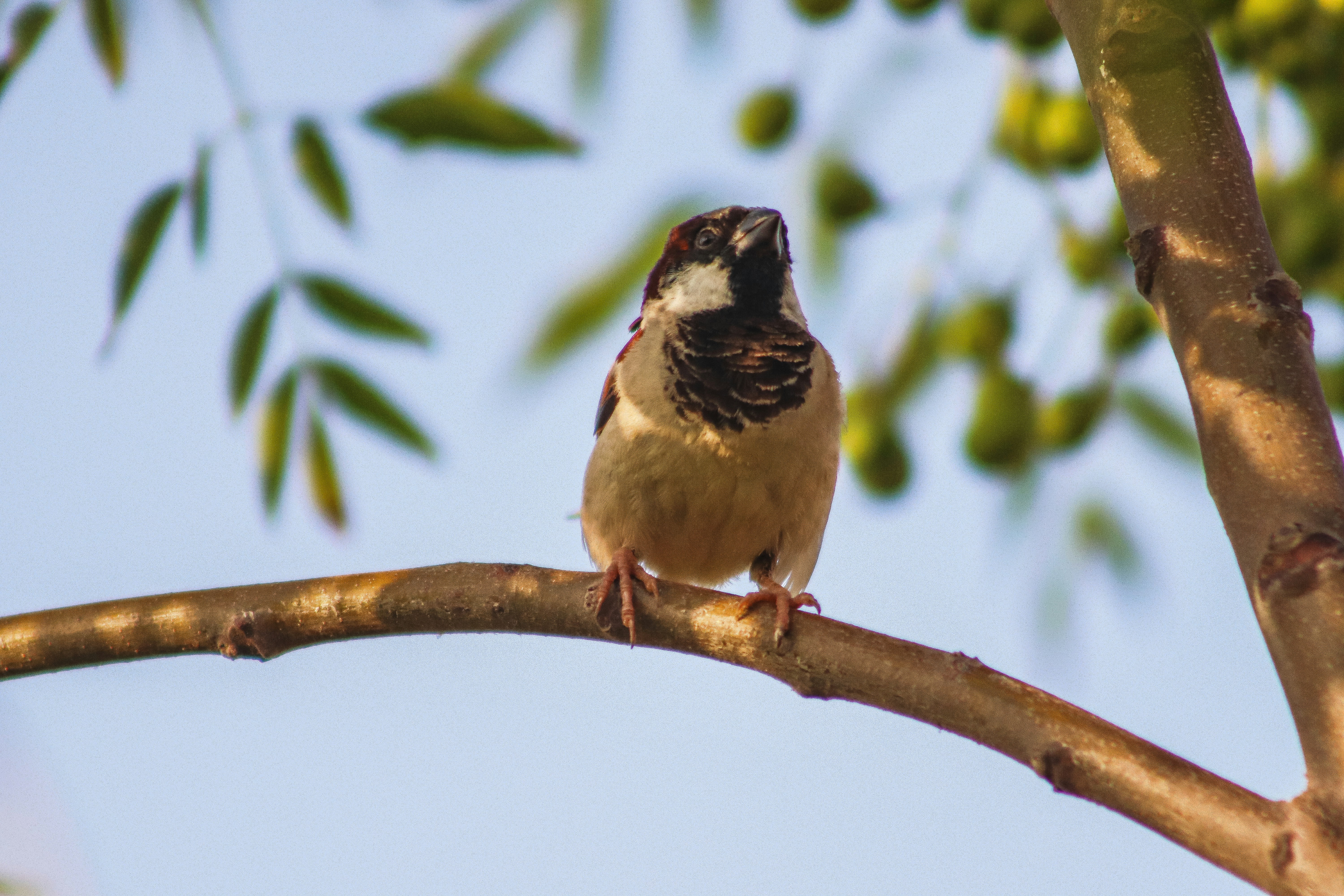 Photo by drphotographer152