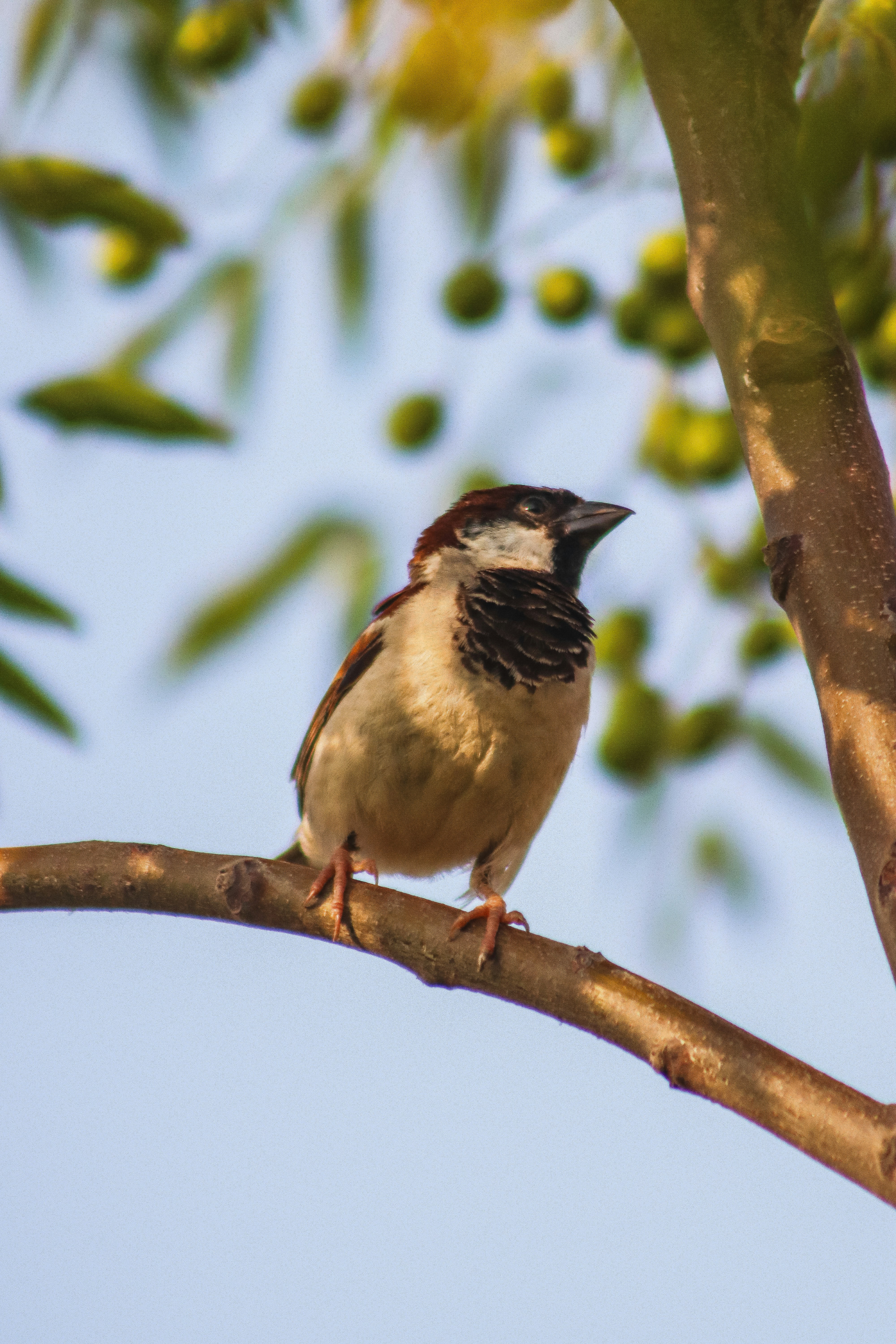 Photo by drphotographer152