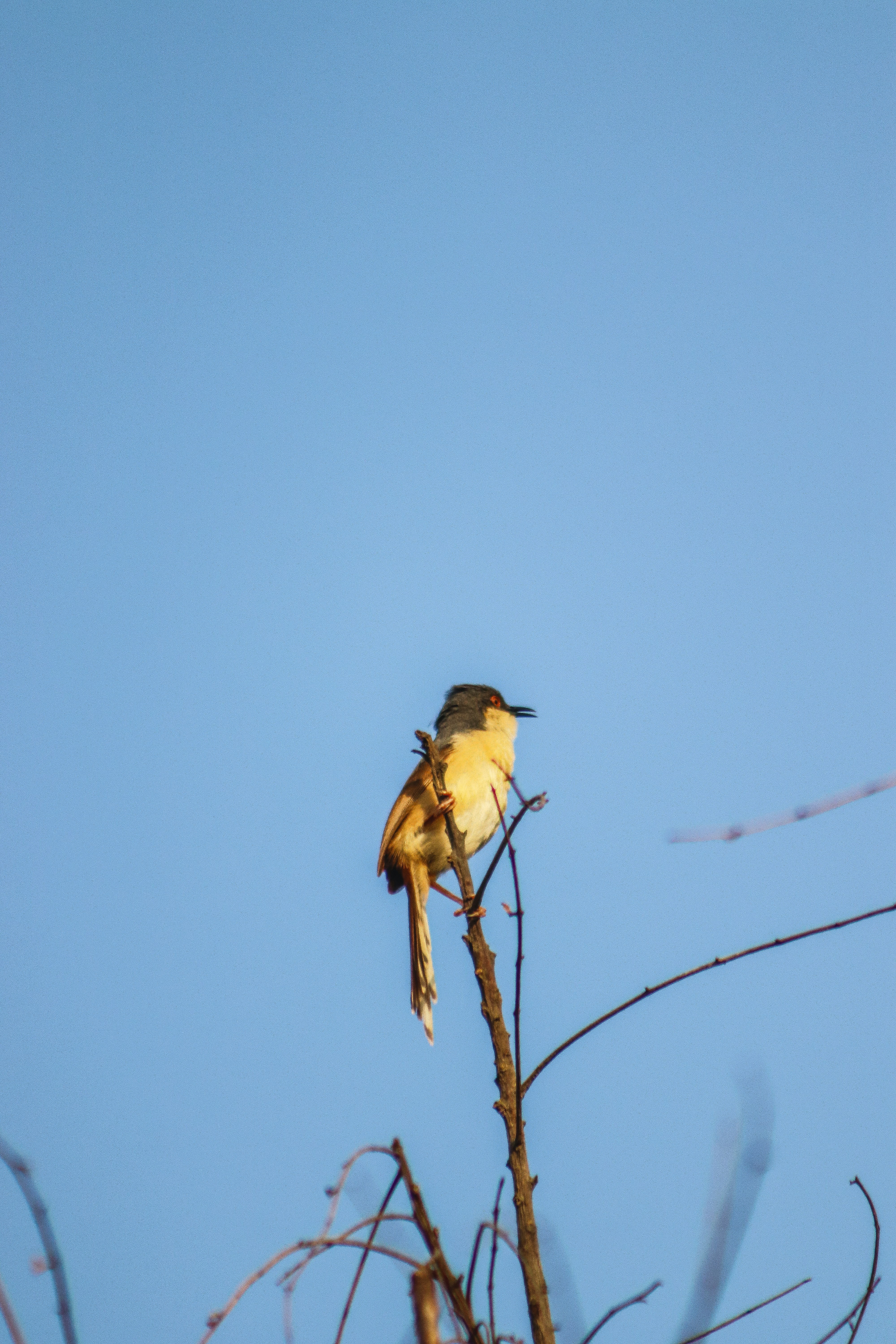 Photo by drphotographer152