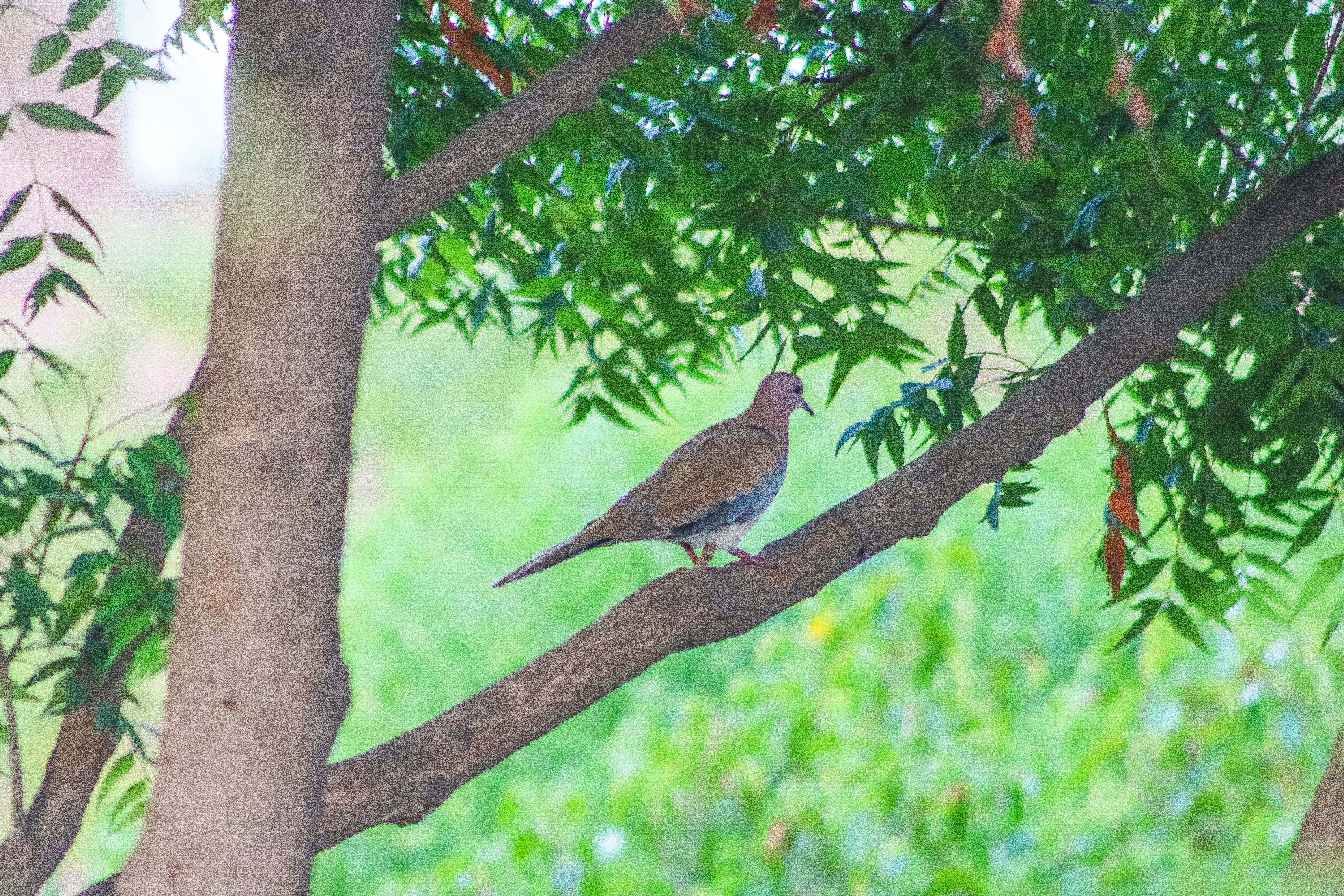 Photo by drphotographer152