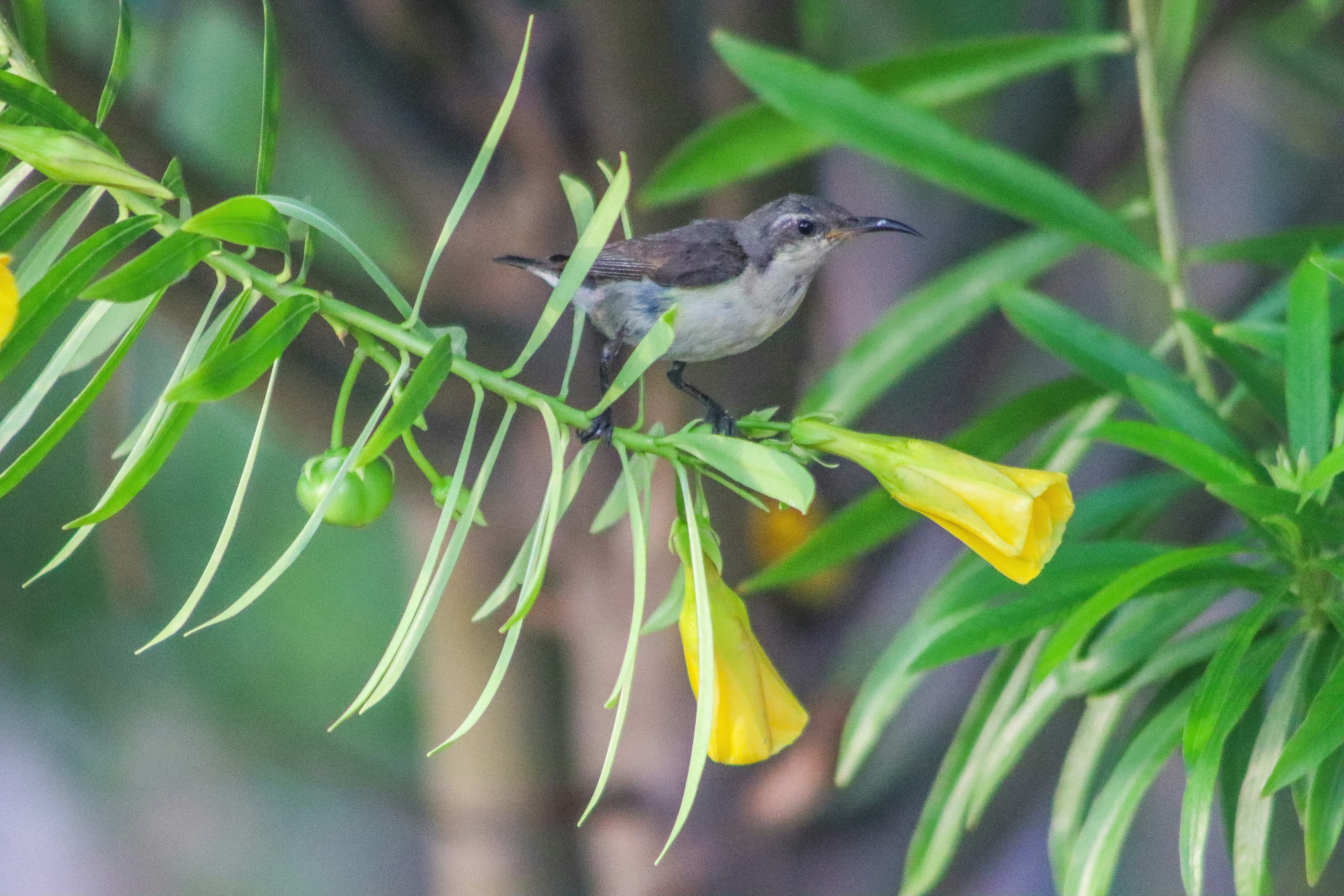 Photo by drphotographer152