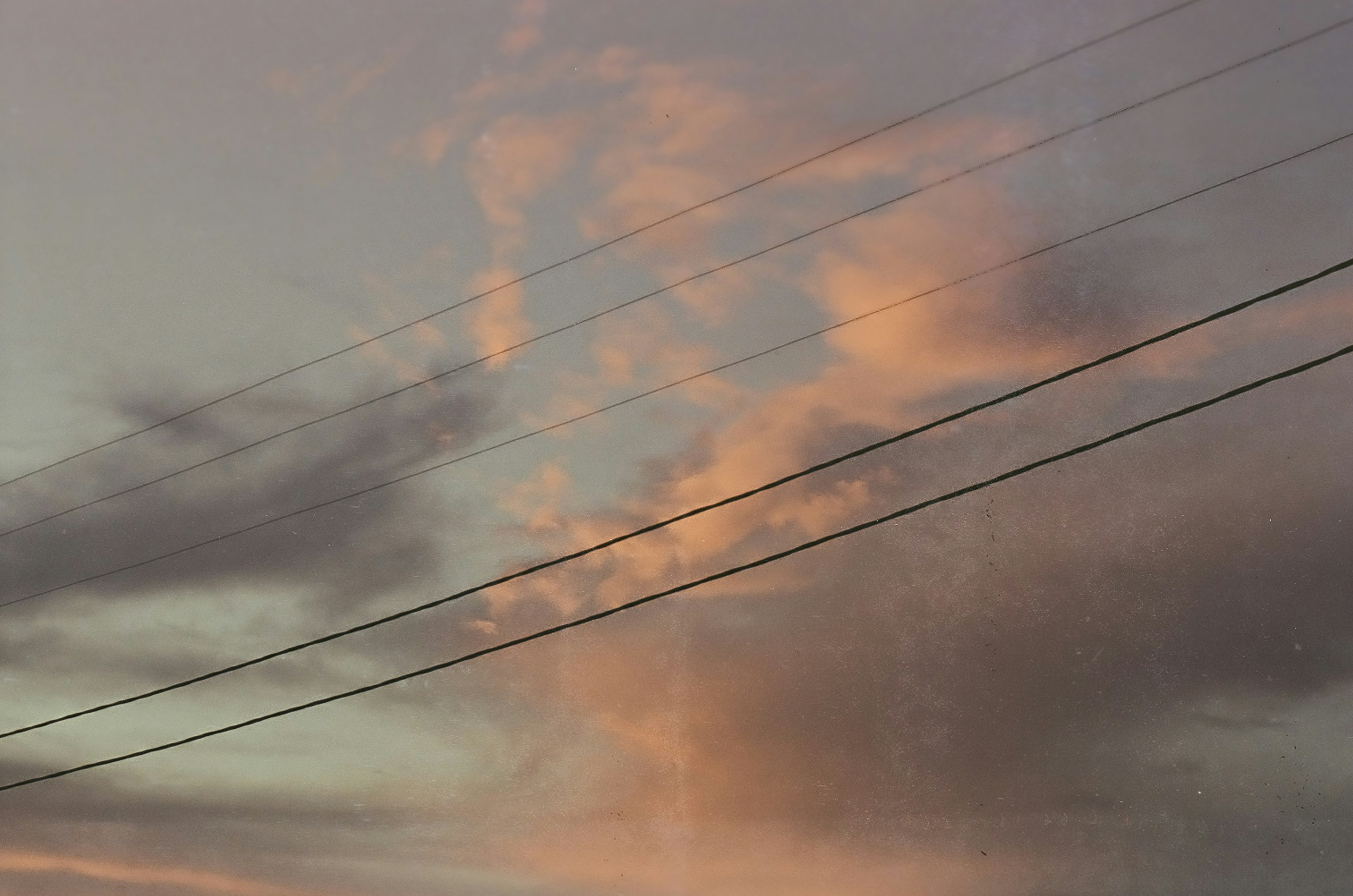 Photo by dim_apostol