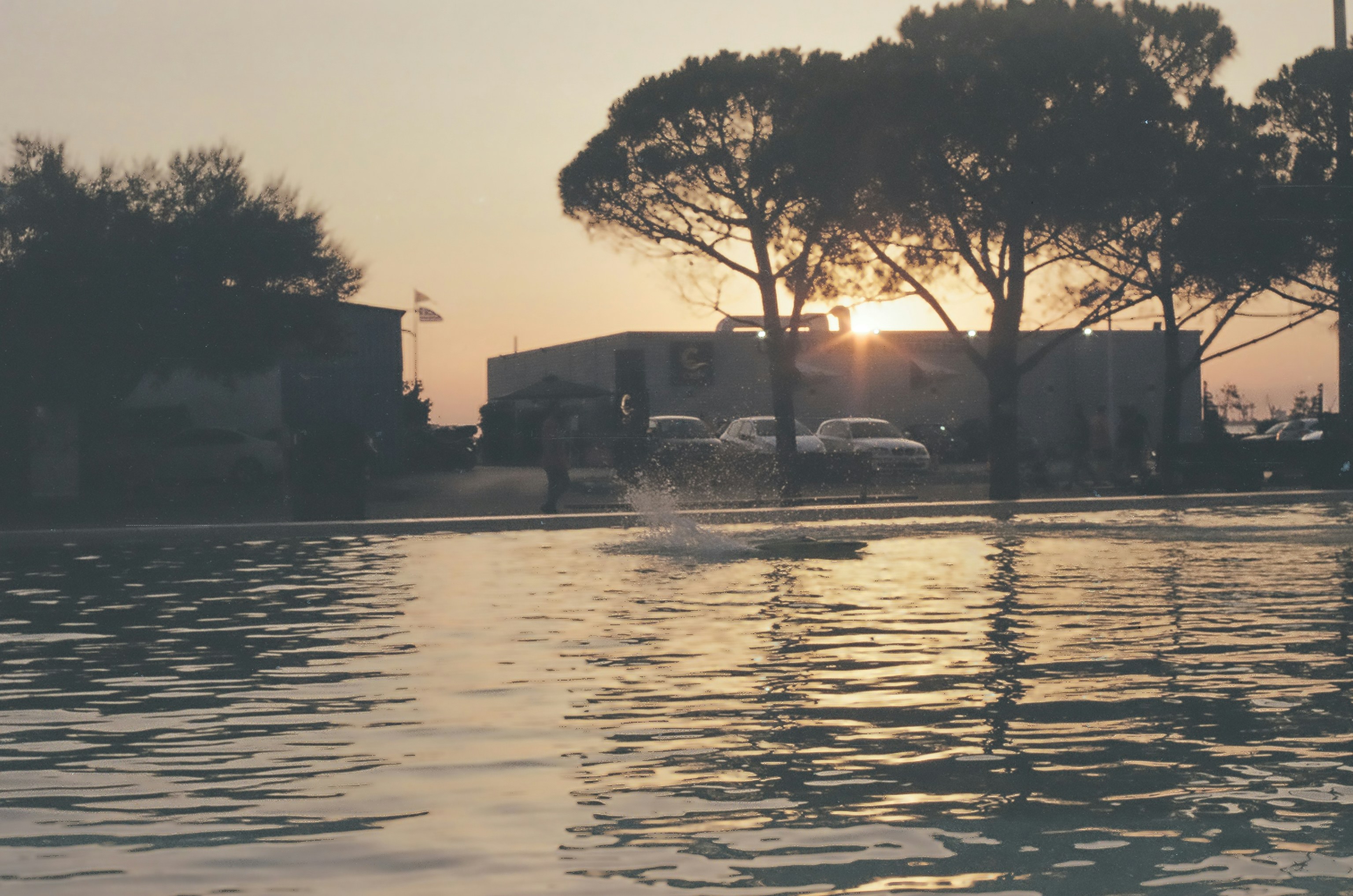 Photo by dim_apostol