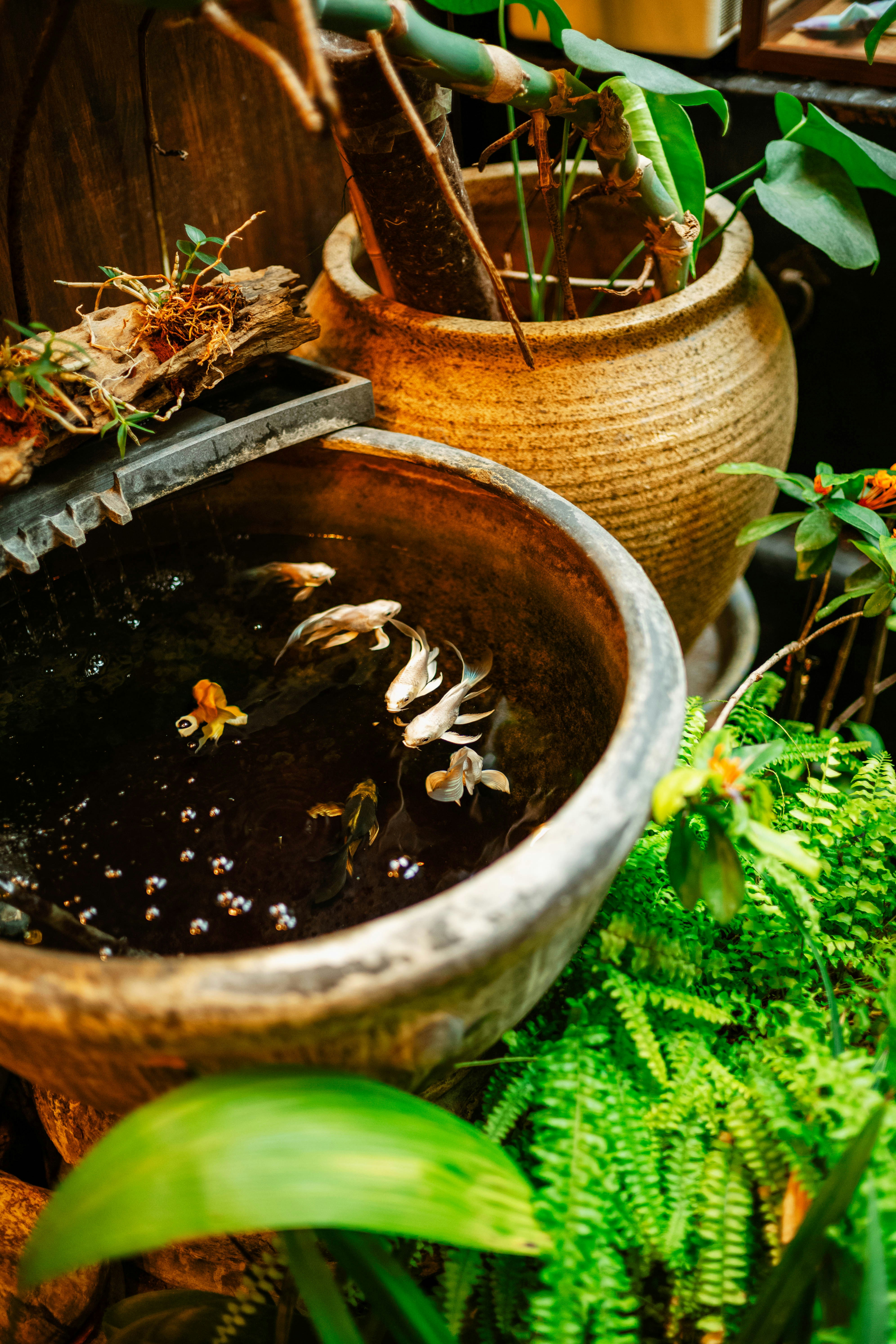 10 Herbal Baths for Winter Botanical Self-Care