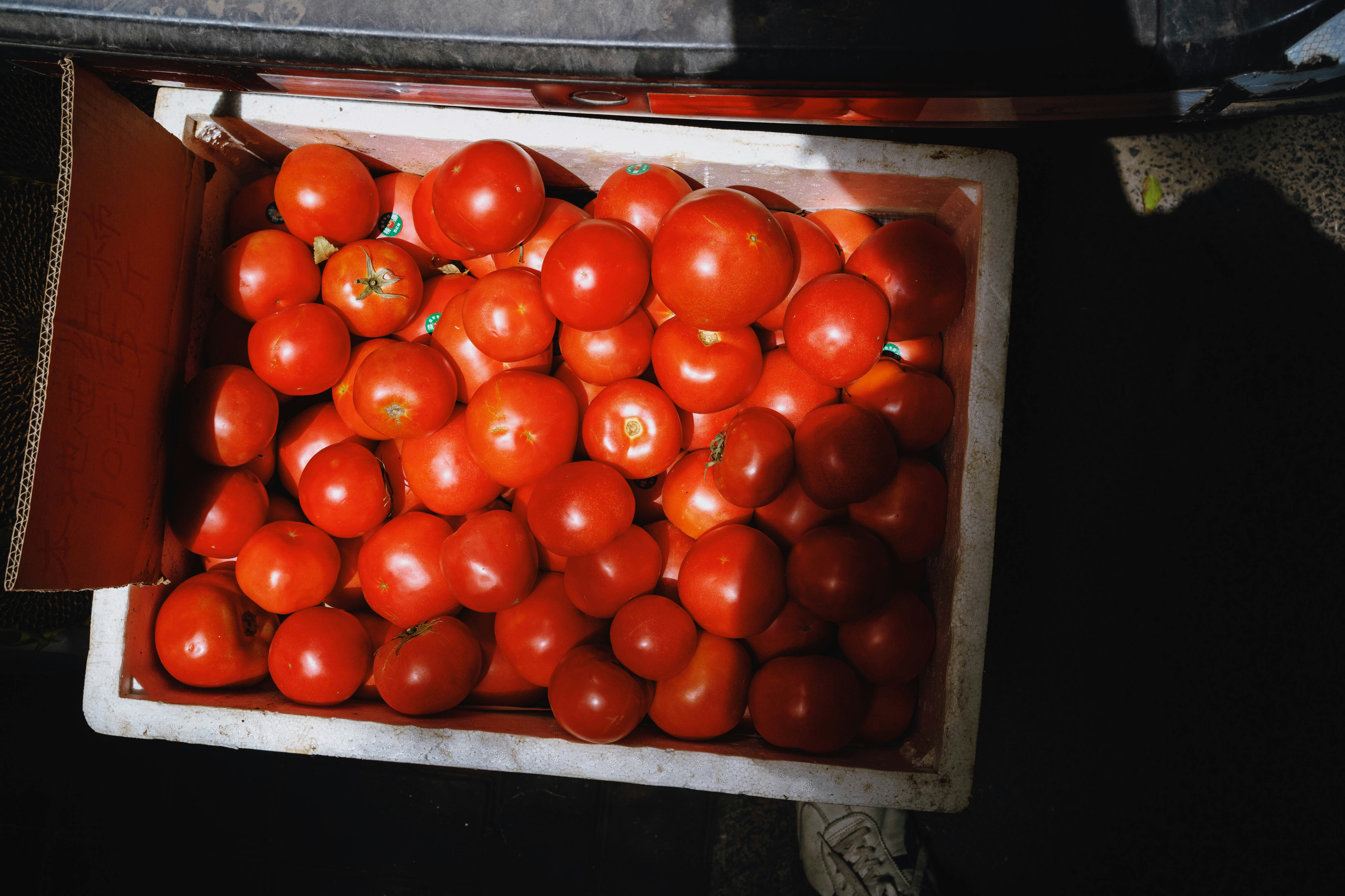 A bunch of tomatoes sitting in a container