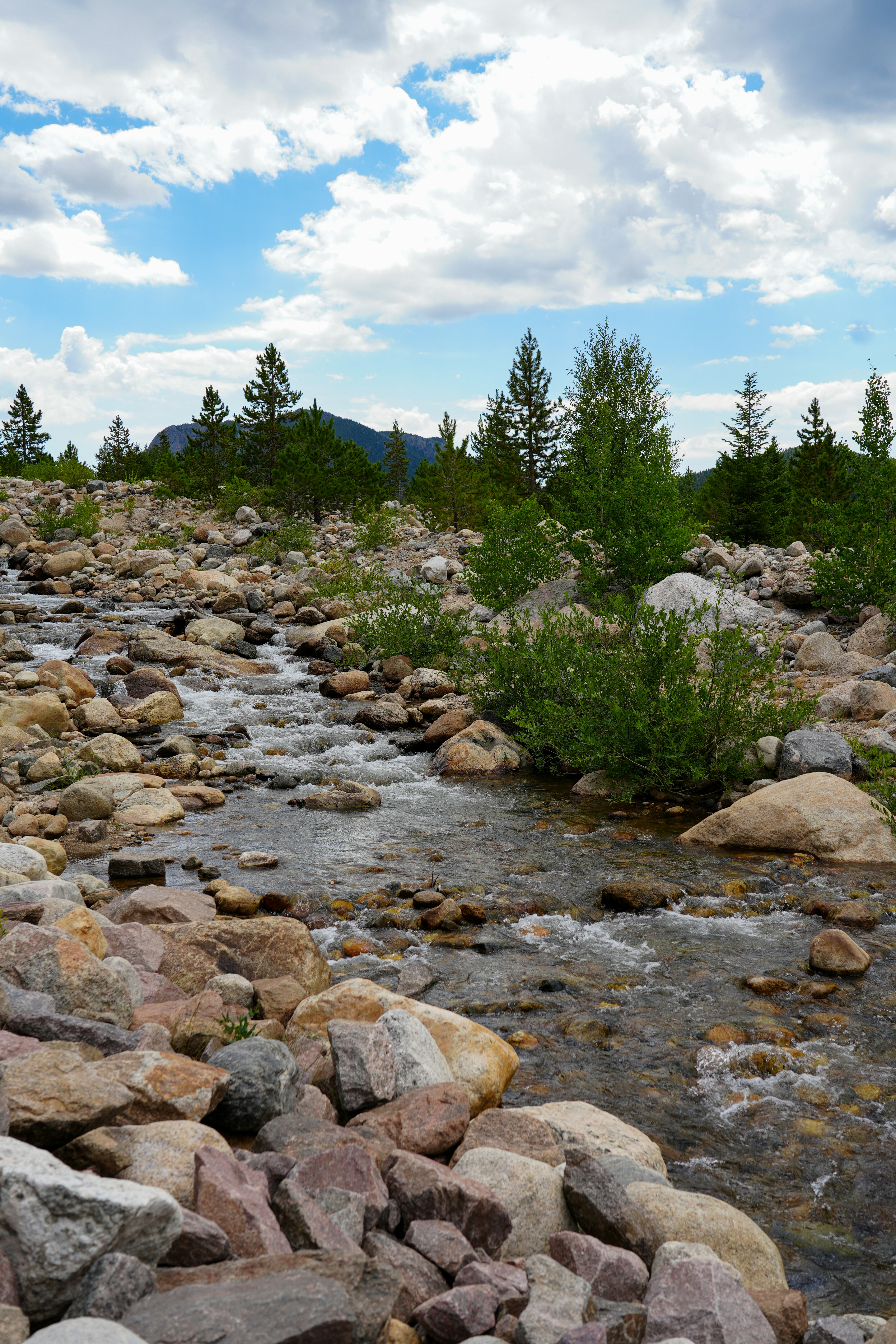 rocky mountain national park