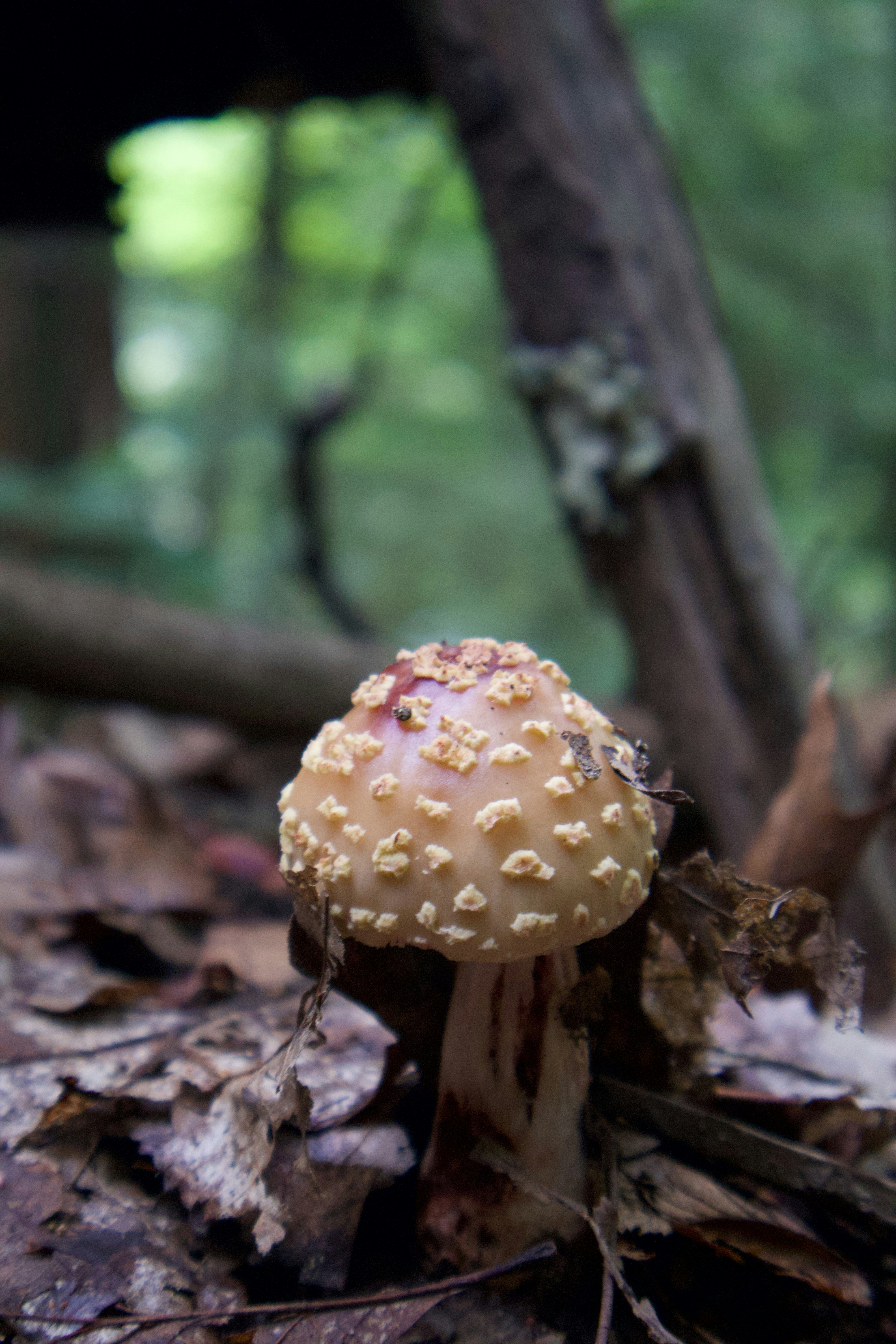 Photo by belanasaikiran