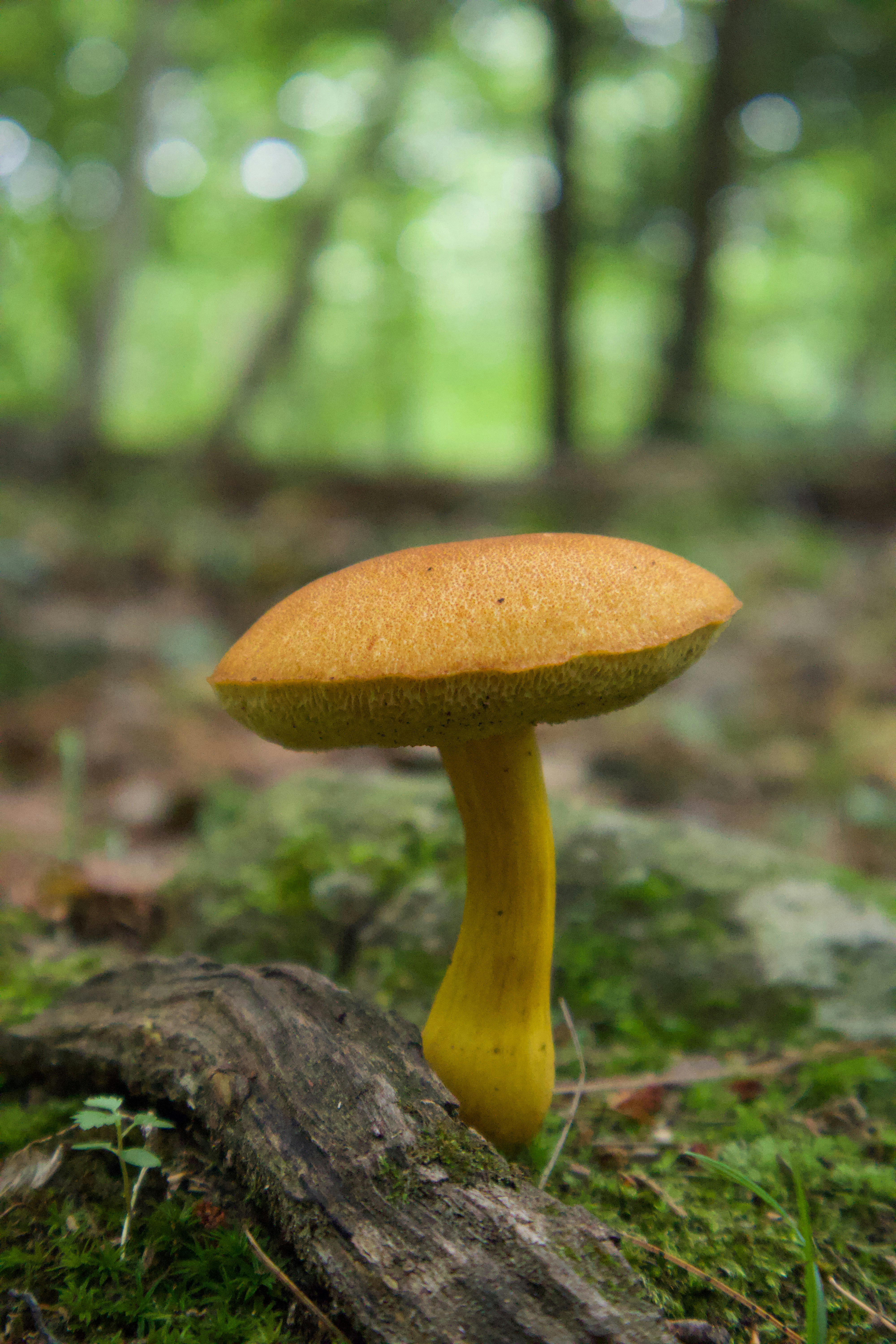 Photo by belanasaikiran