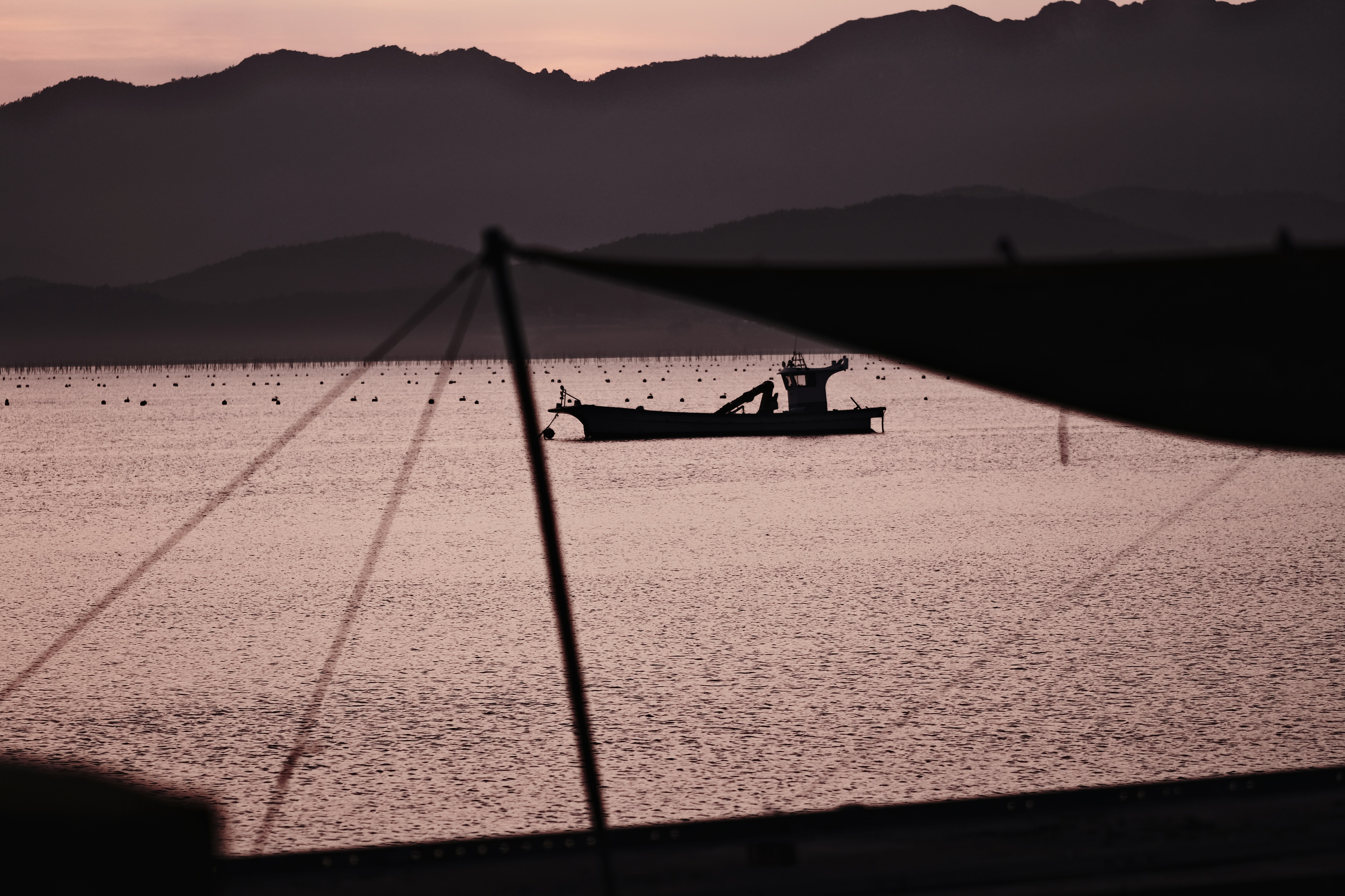 Photo by amihailoven