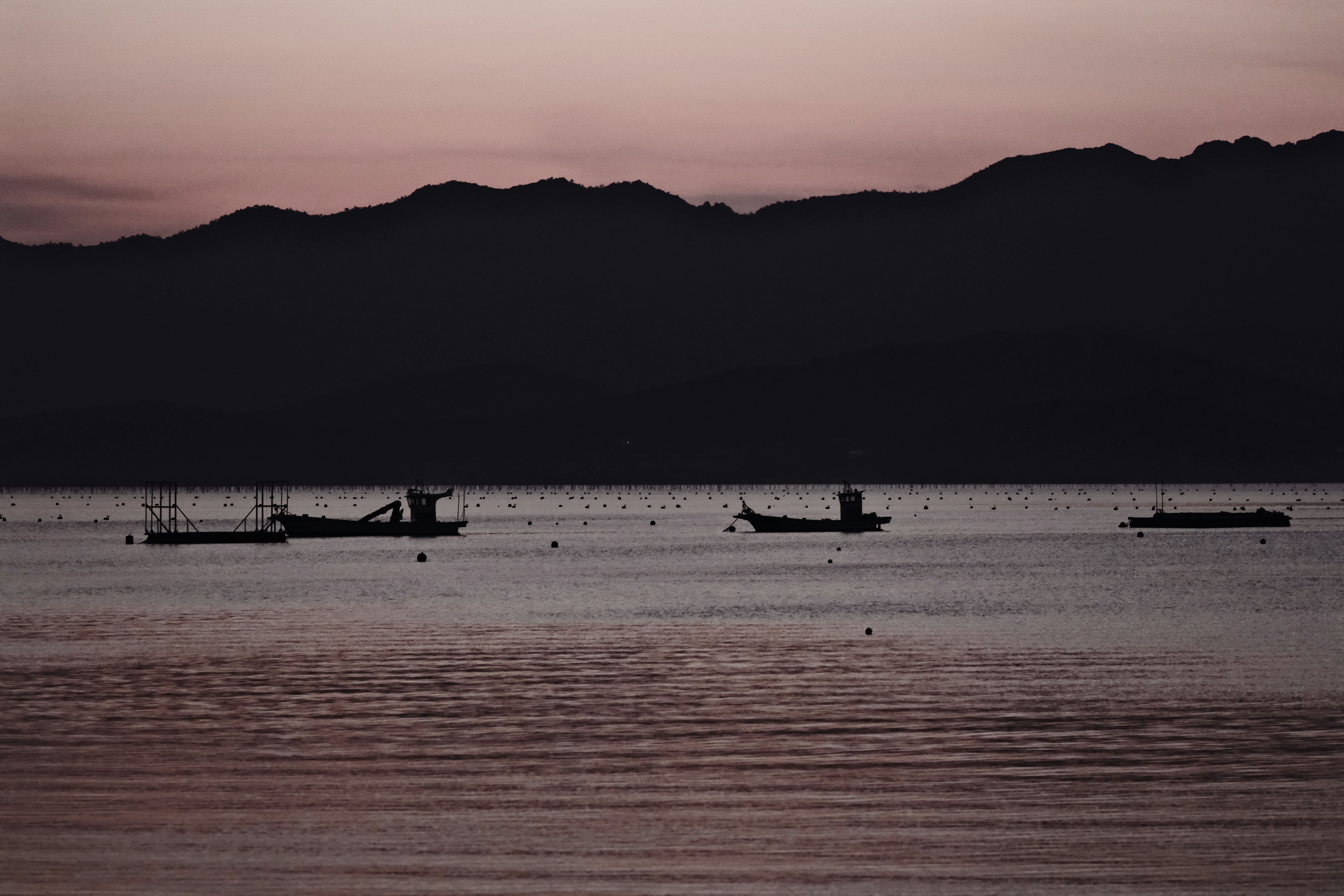 Photo by amihailoven