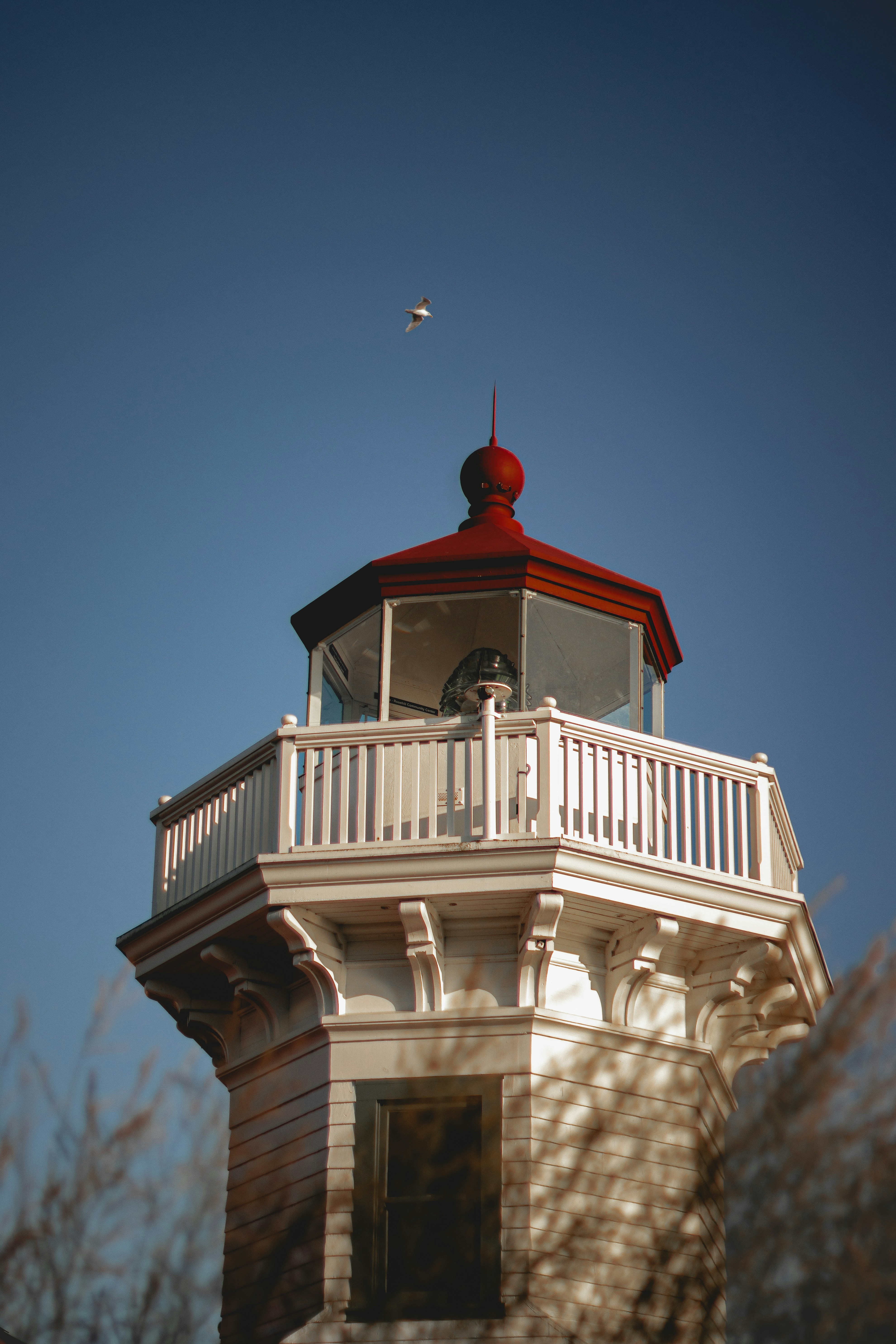 Photo by pendulumphotographs