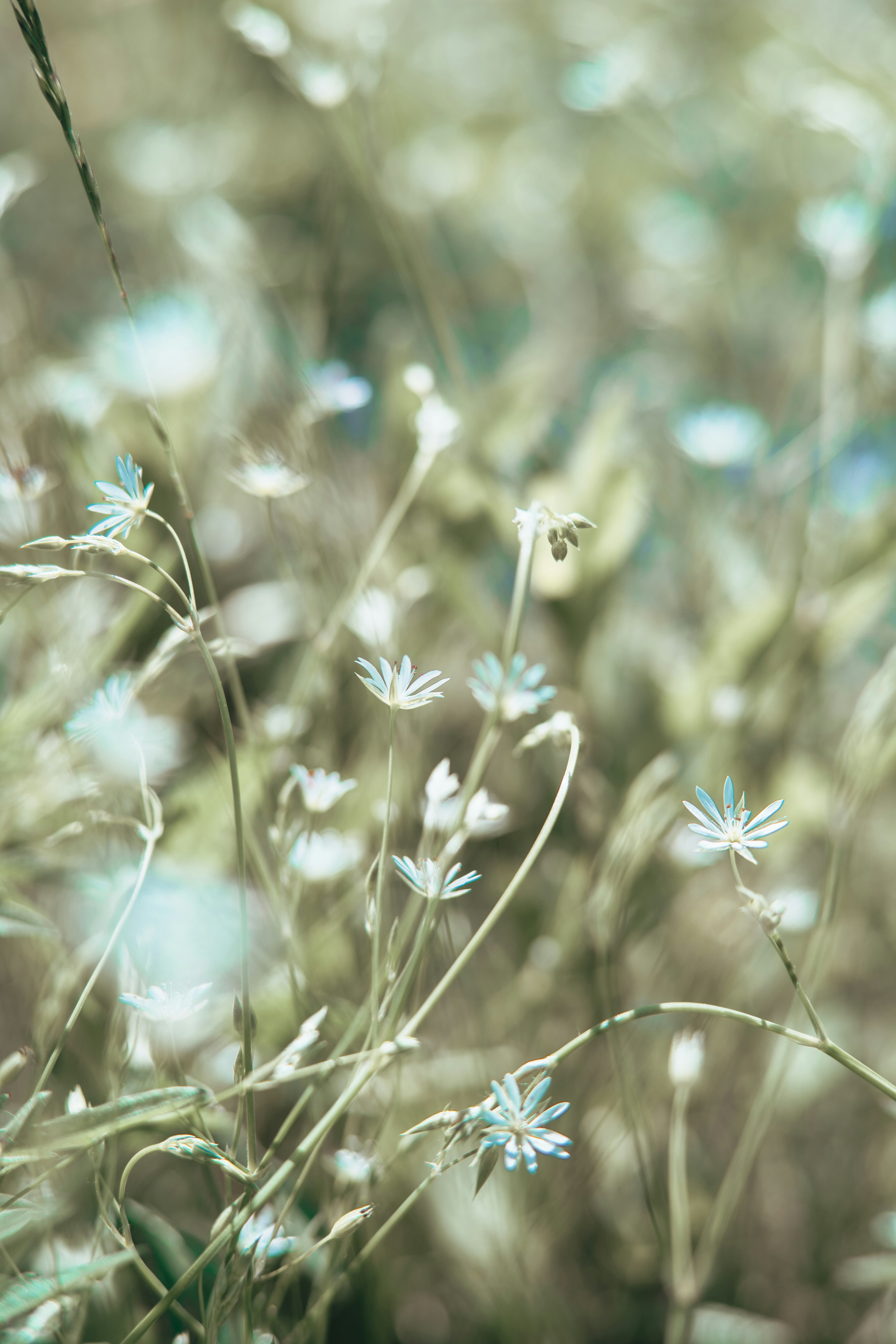 Photo by anamnesis33