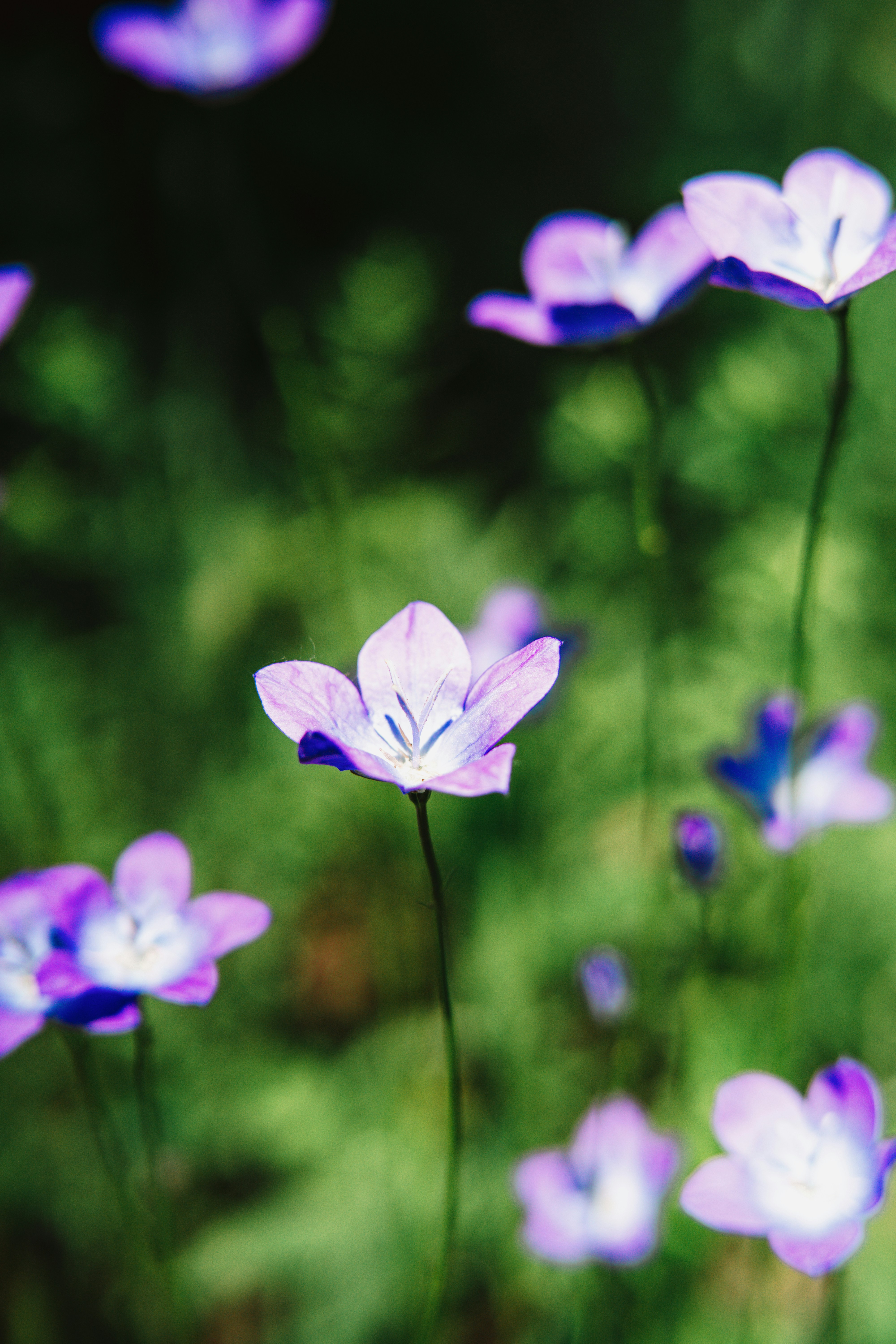 Photo by anamnesis33