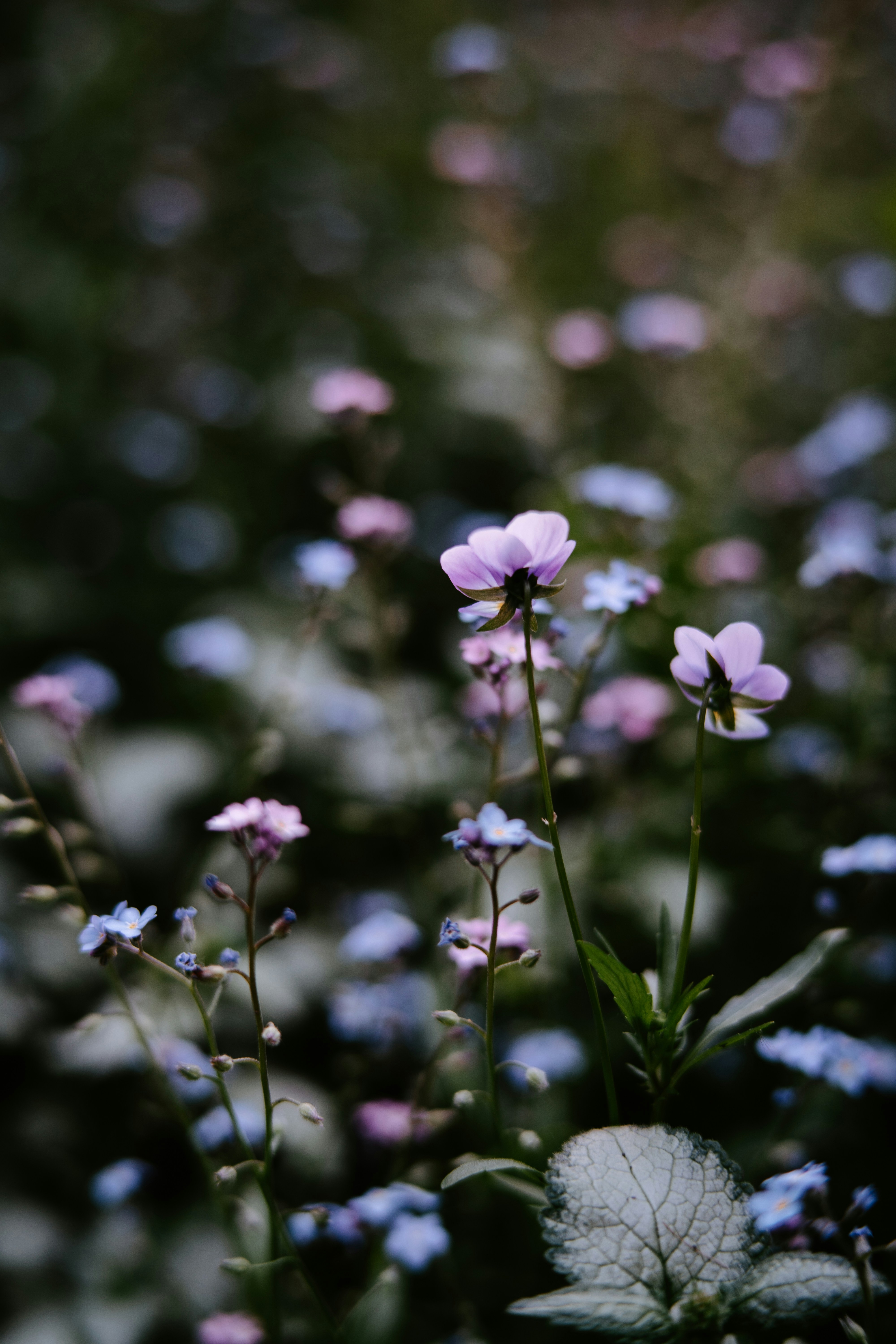 Photo by anamnesis33