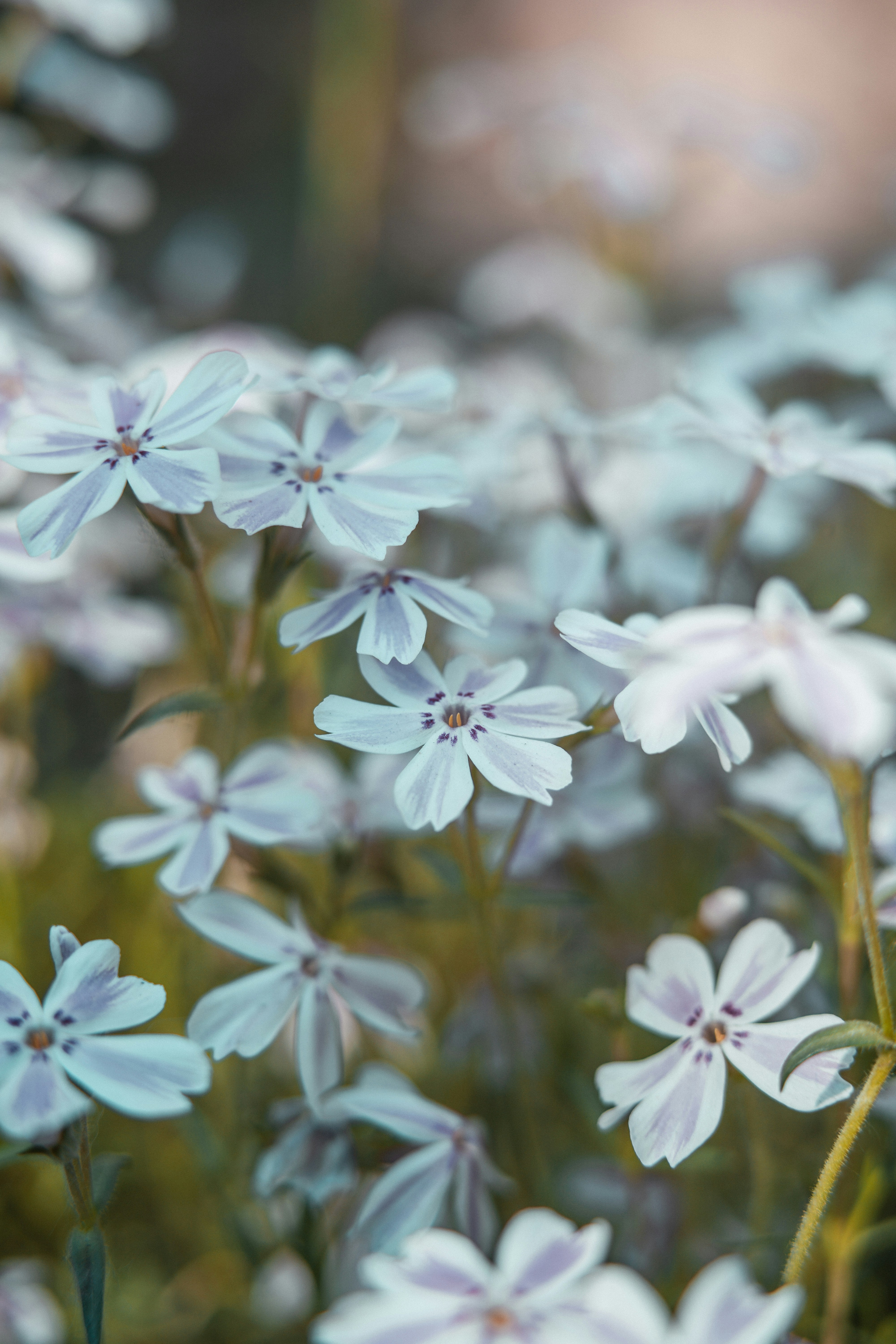 Photo by anamnesis33