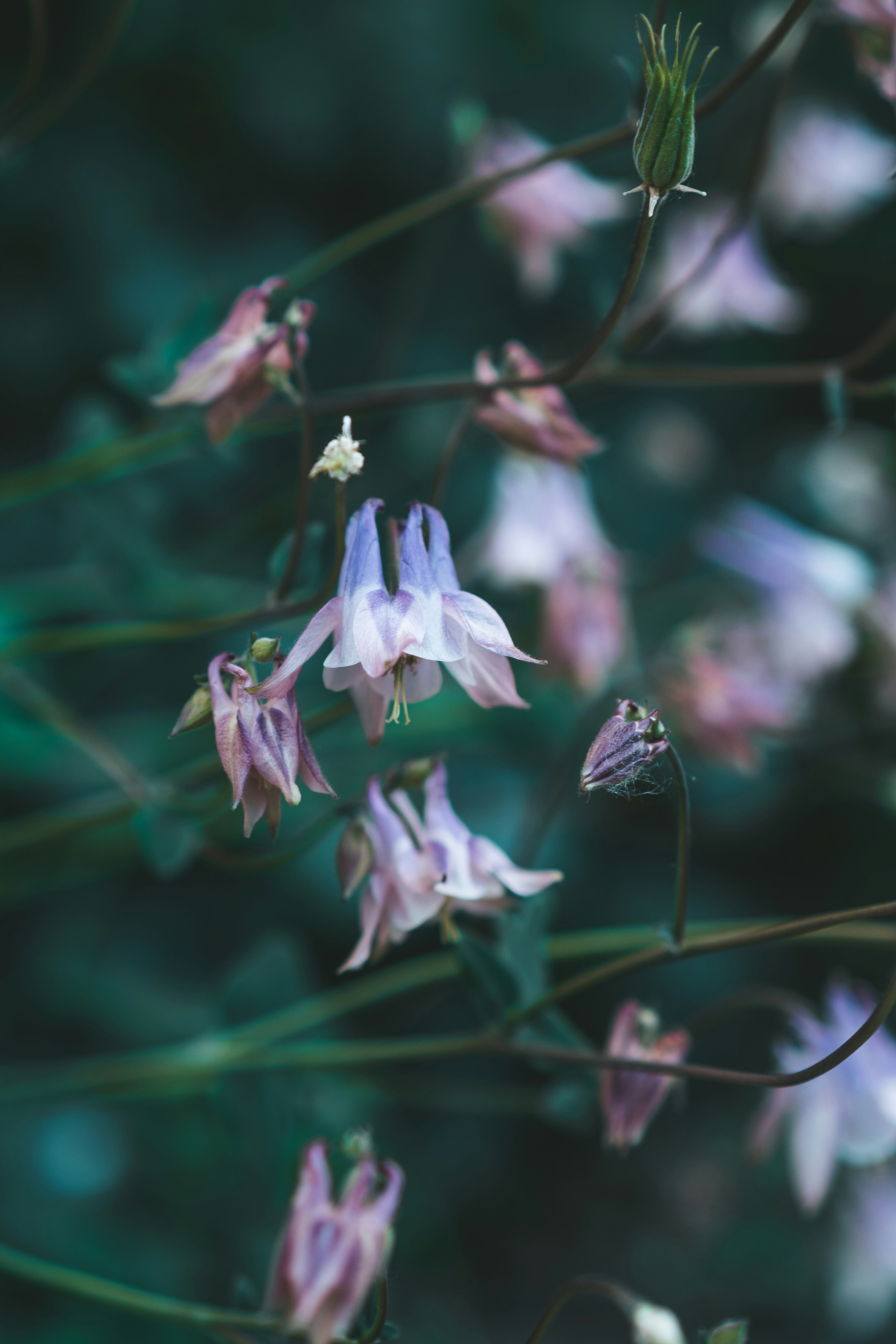 Photo by anamnesis33