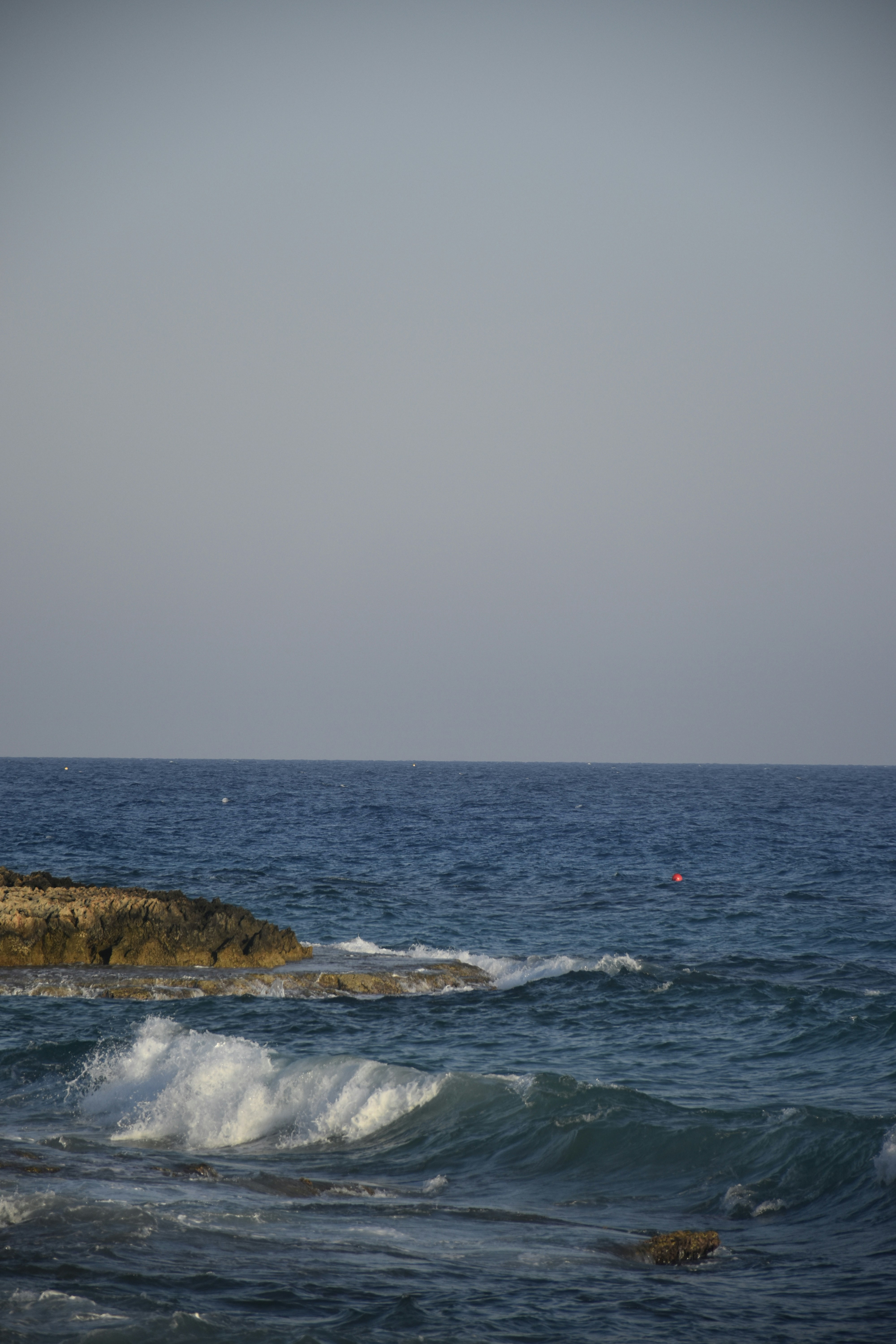 Photo by znphotogarphy