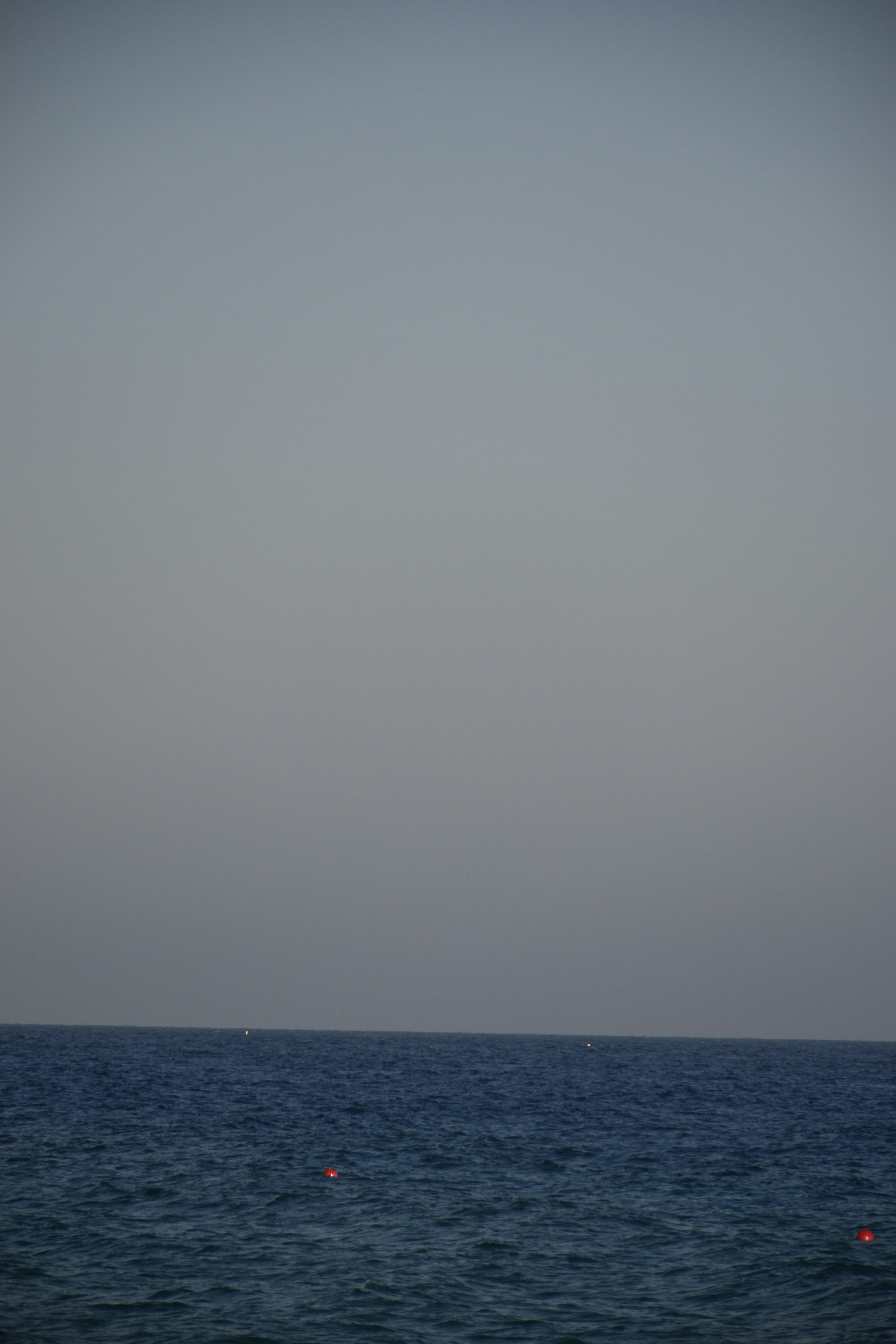 Photo by znphotogarphy