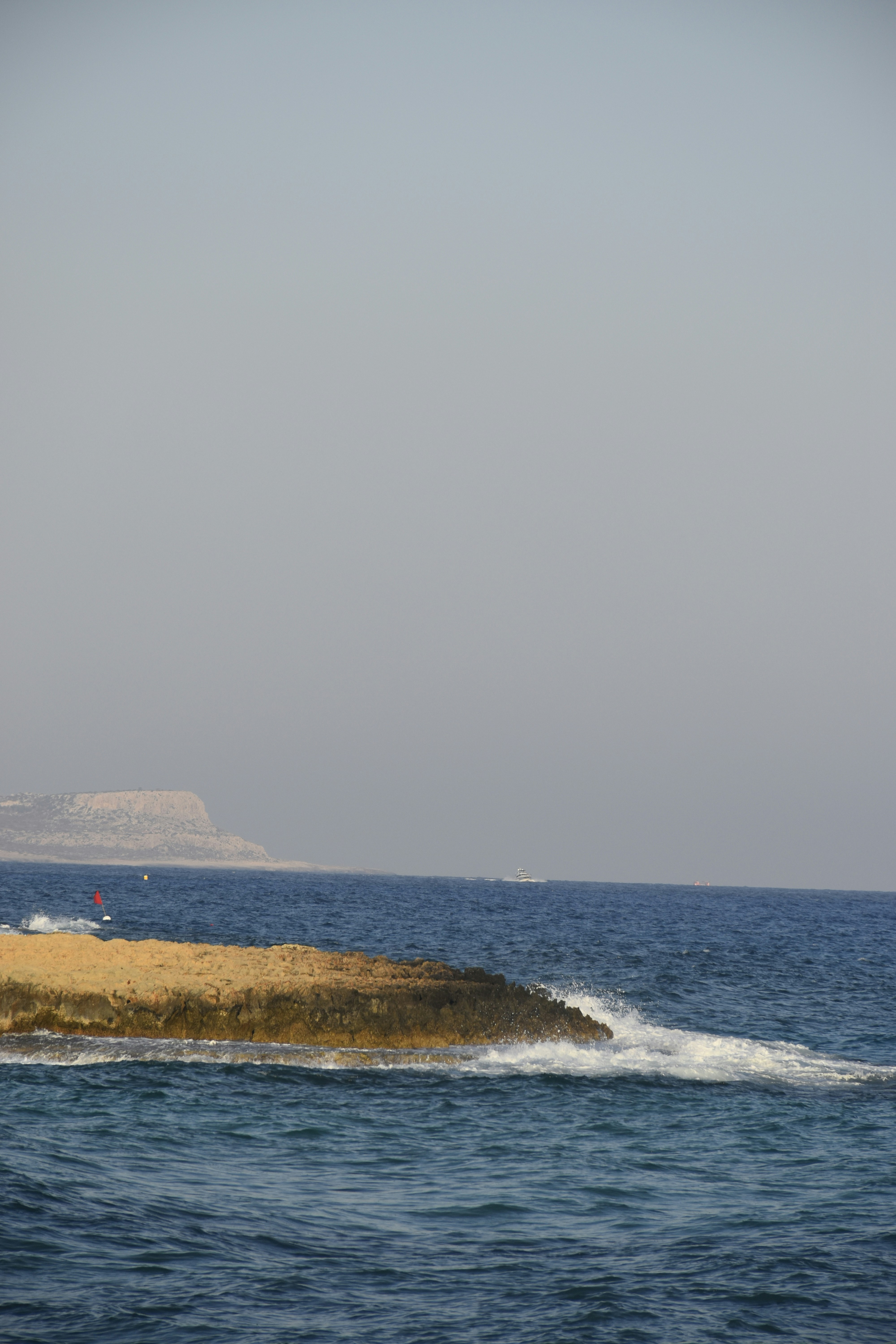 Photo by znphotogarphy